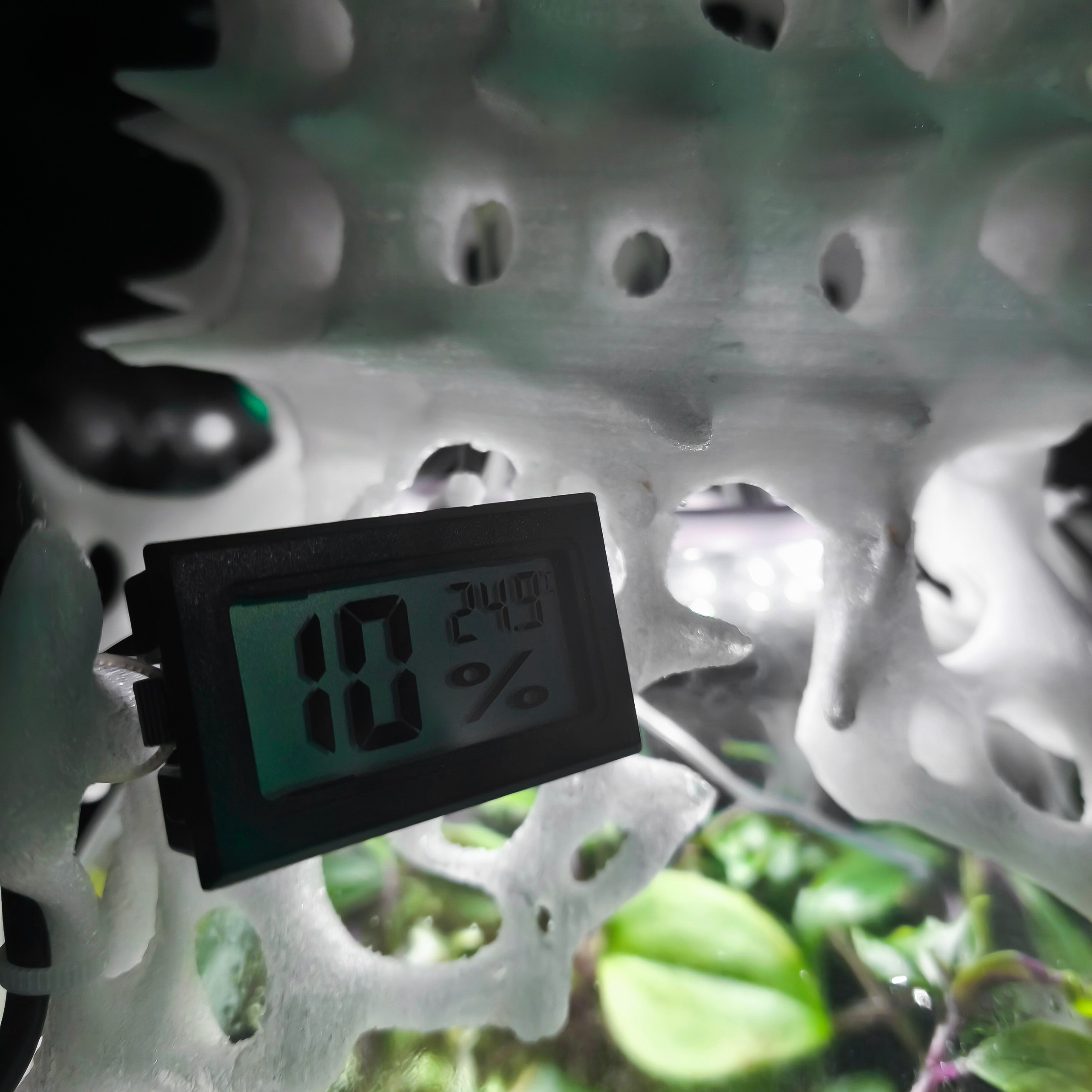 Biosynergy #101. Саша Малышева ● Художник