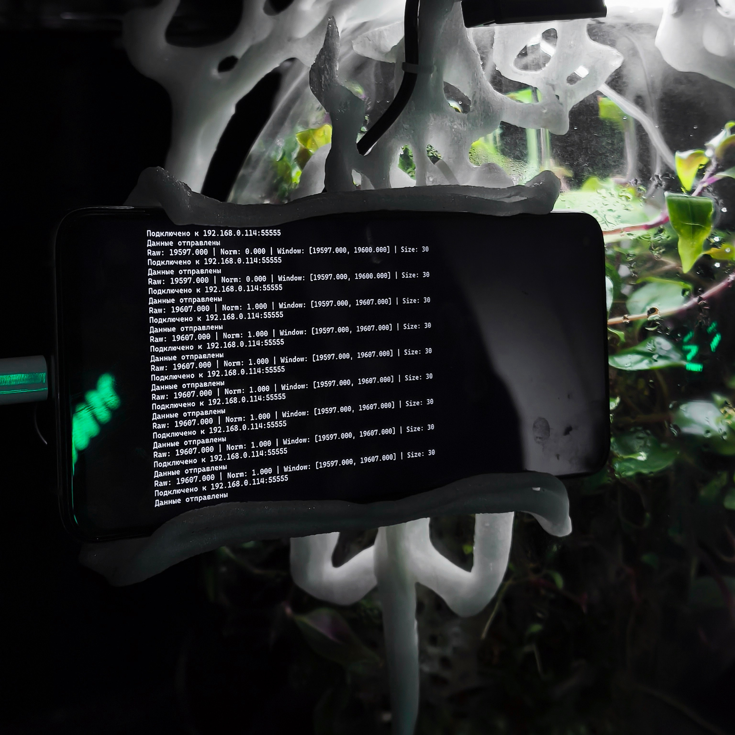 Biosynergy #101. Саша Малышева ● Художник