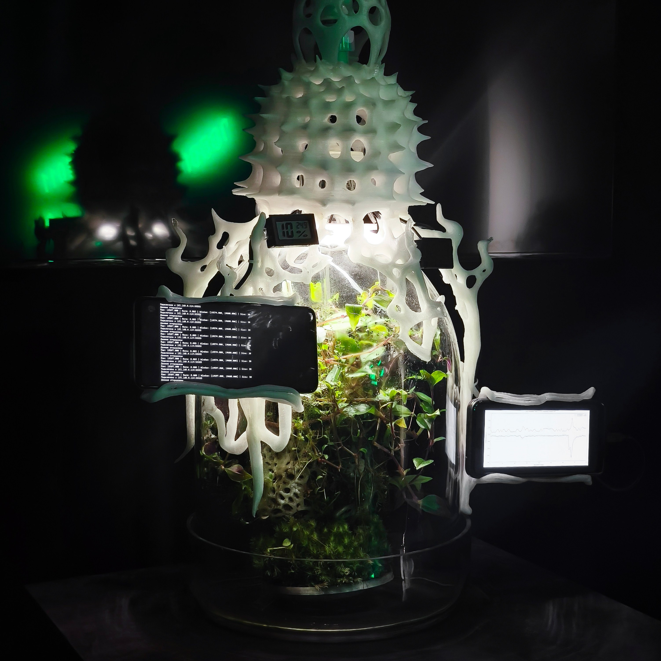 Biosynergy #101. Саша Малышева ● Художник