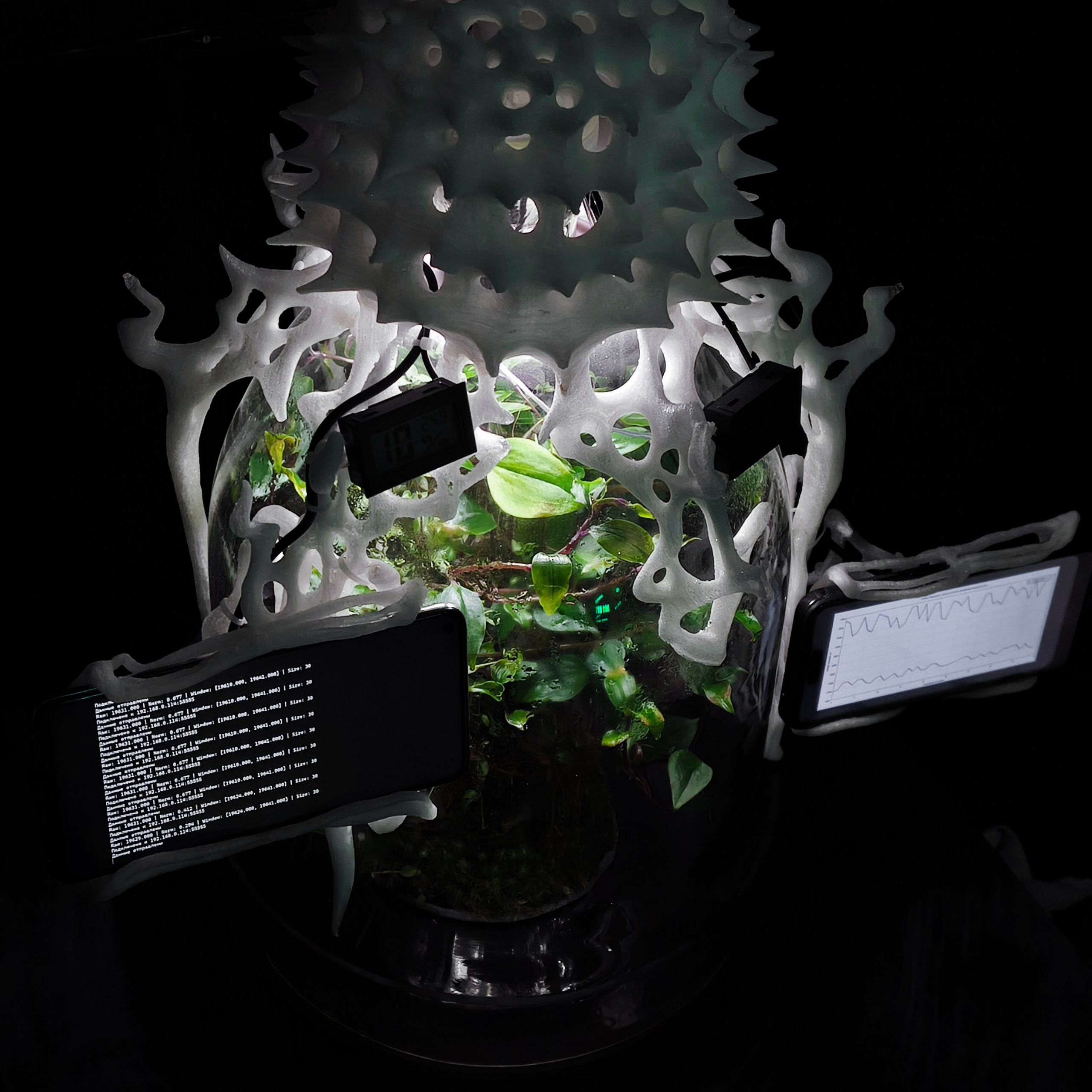 Biosynergy #101. Саша Малышева ● Художник