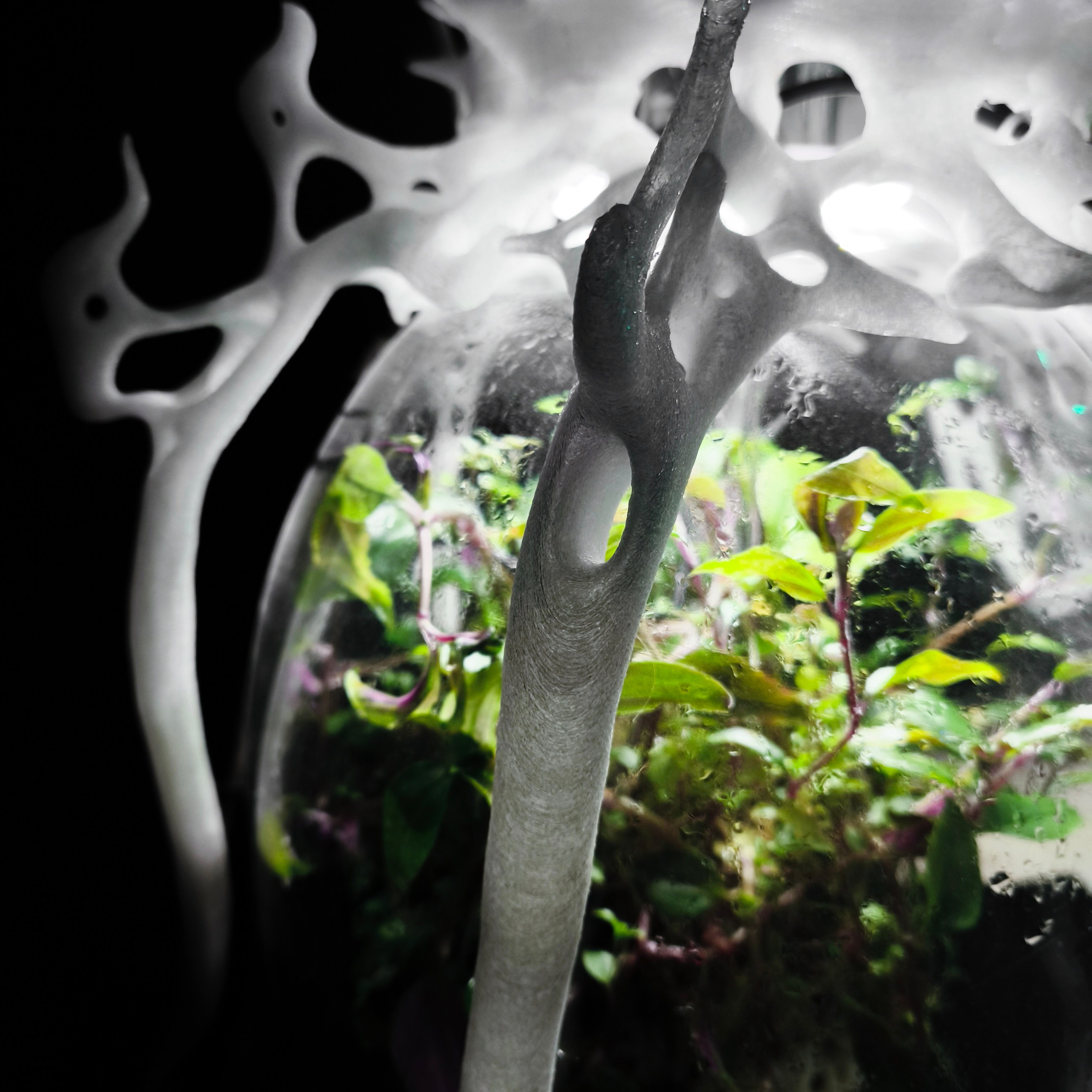 Biosynergy #101. Саша Малышева ● Художник