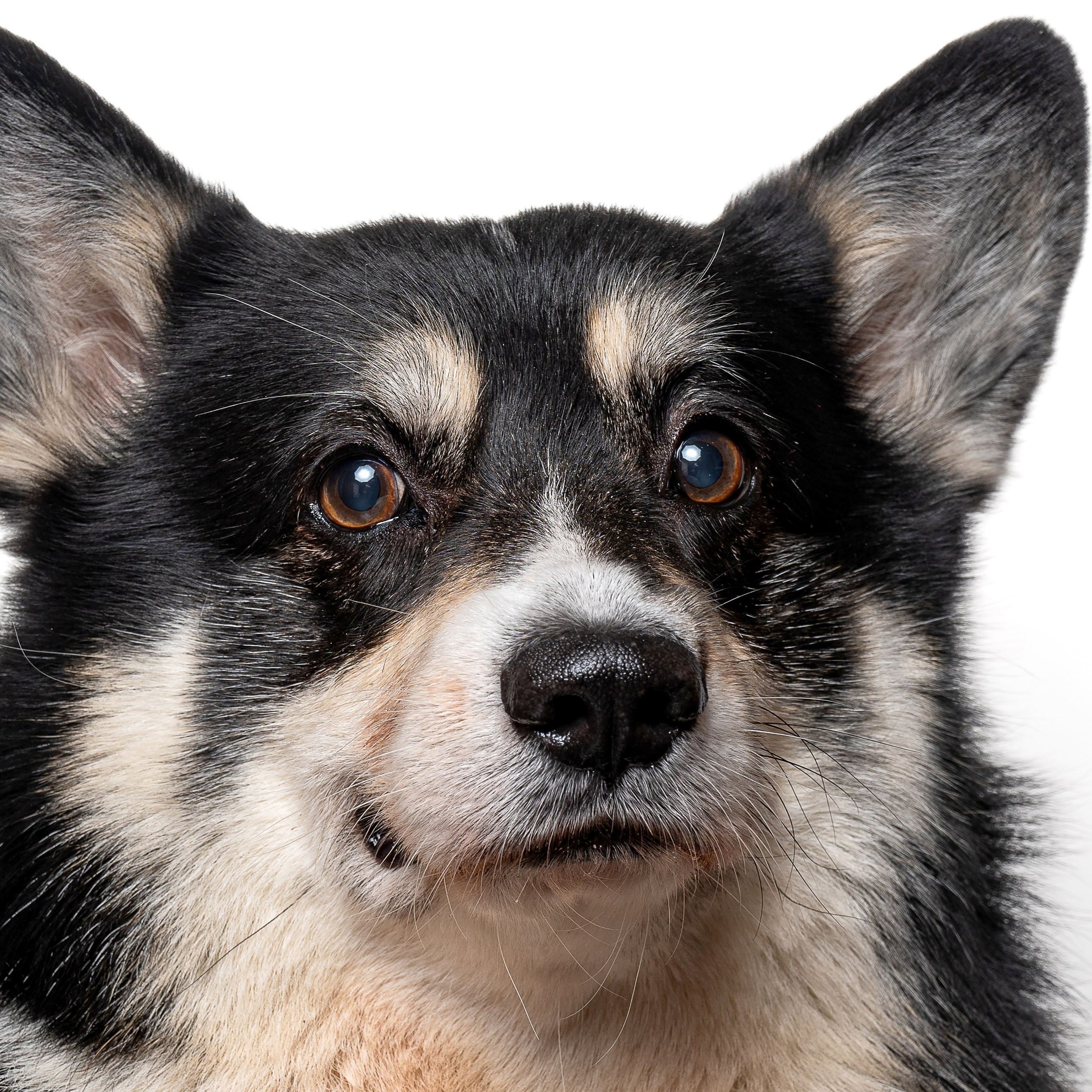 Отзывы. Детский и школьный фотограф в Королёве Андрей Цимбал