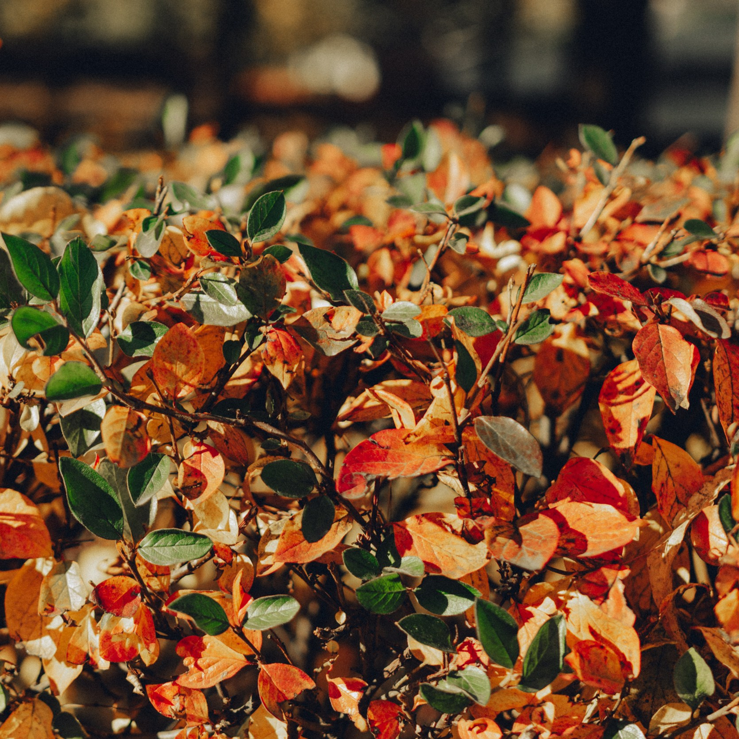 Репортажный фотограф Кирилл Бартенев