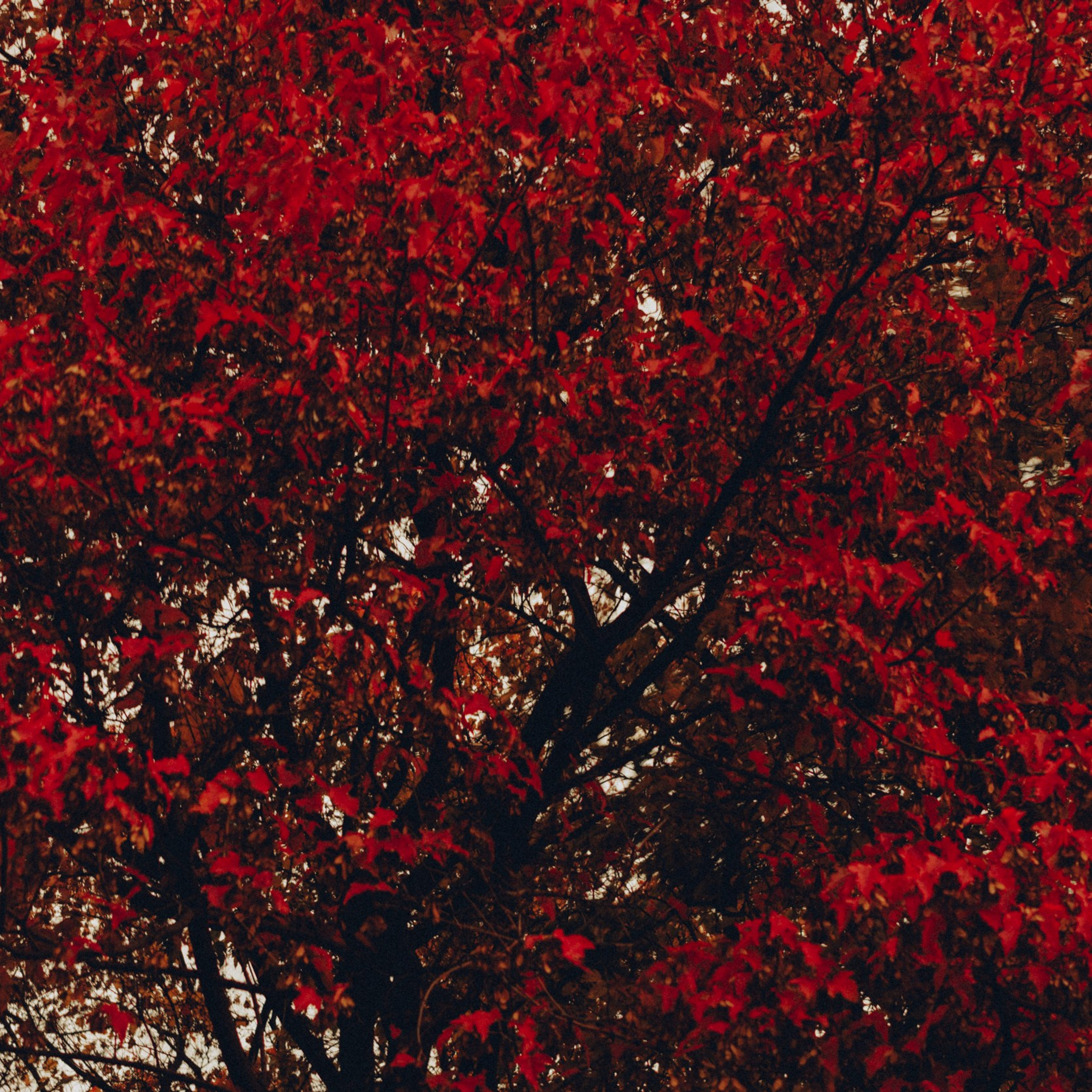 Репортажный фотограф Кирилл Бартенев