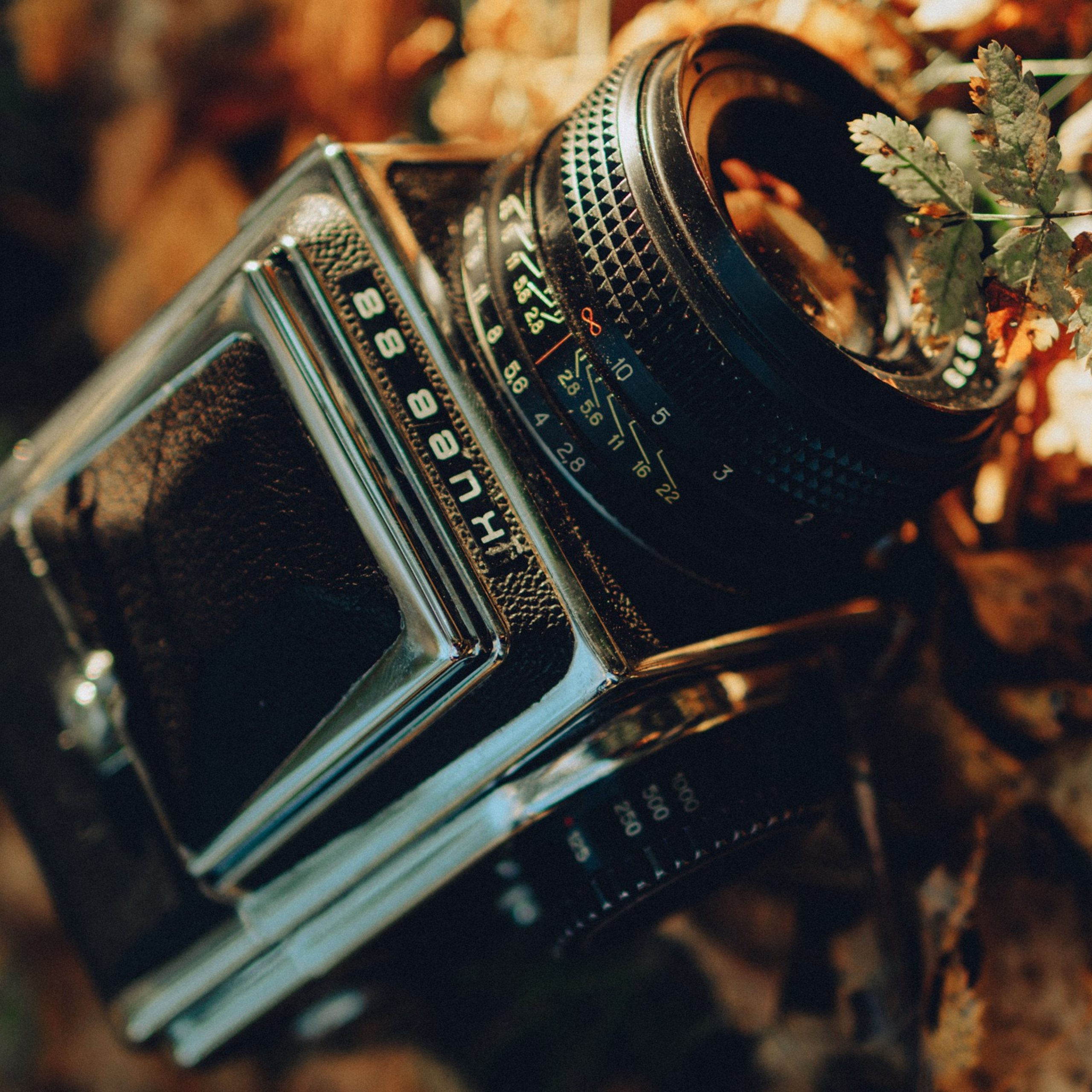 Репортажный фотограф Кирилл Бартенев