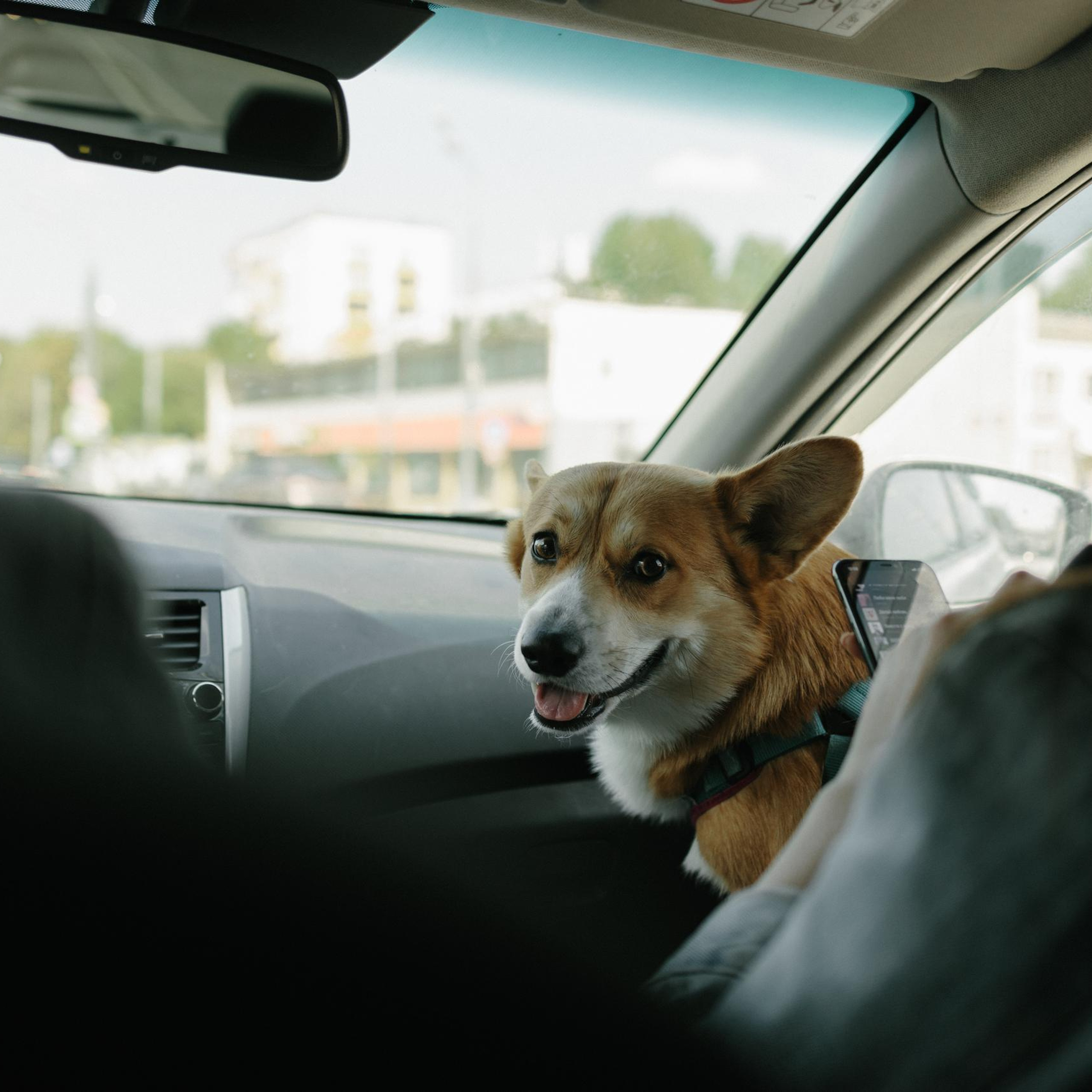 Отзывы. Свадебный, семейный и портретный фотограф в Москве, Санкт-Петербурге