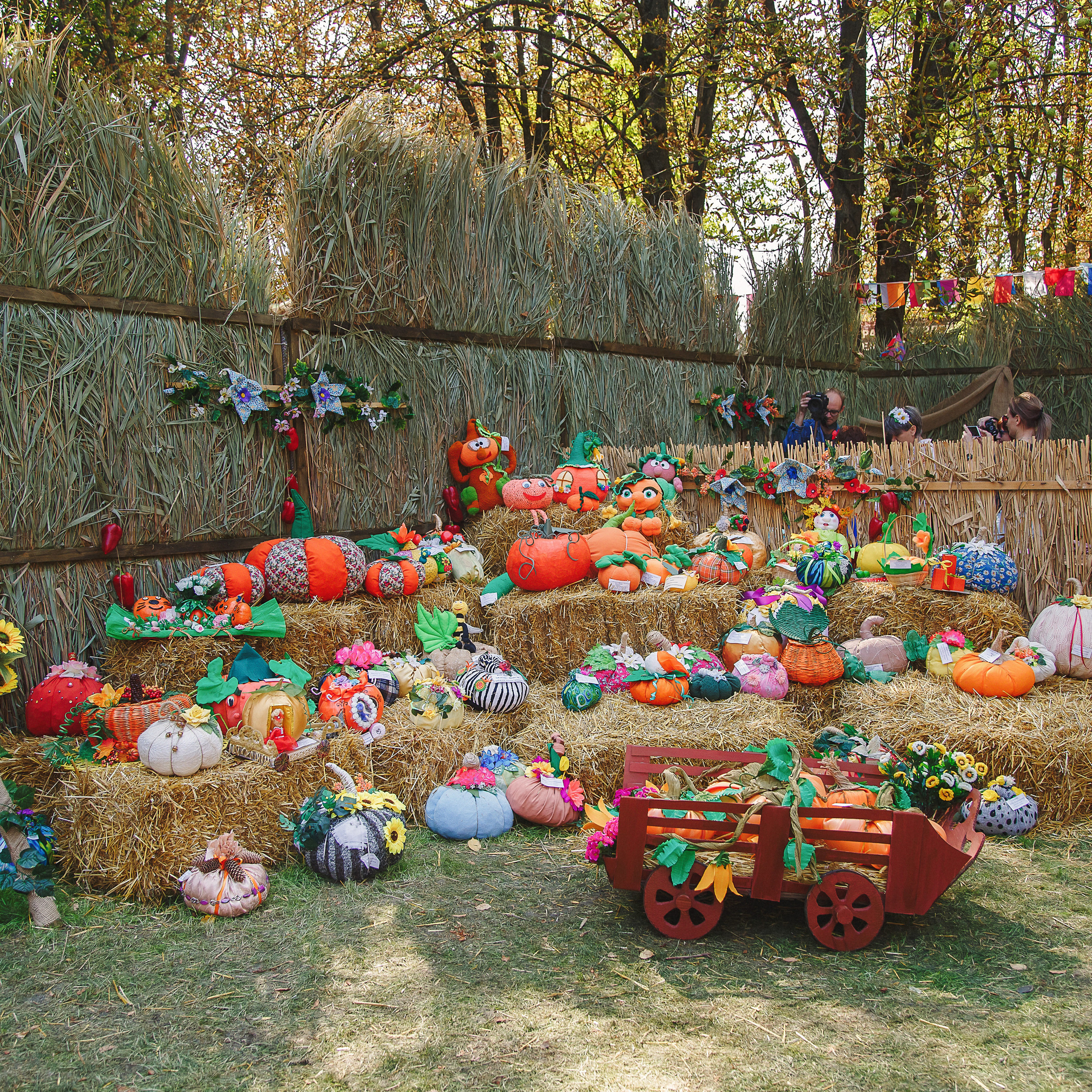 Репортаж. Eewa.ru