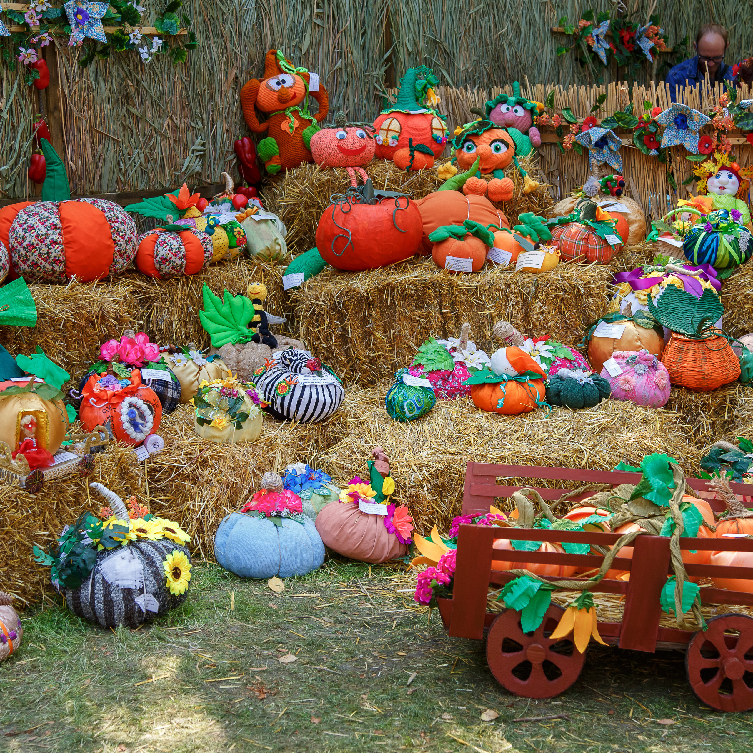 Репортаж. Eewa.ru