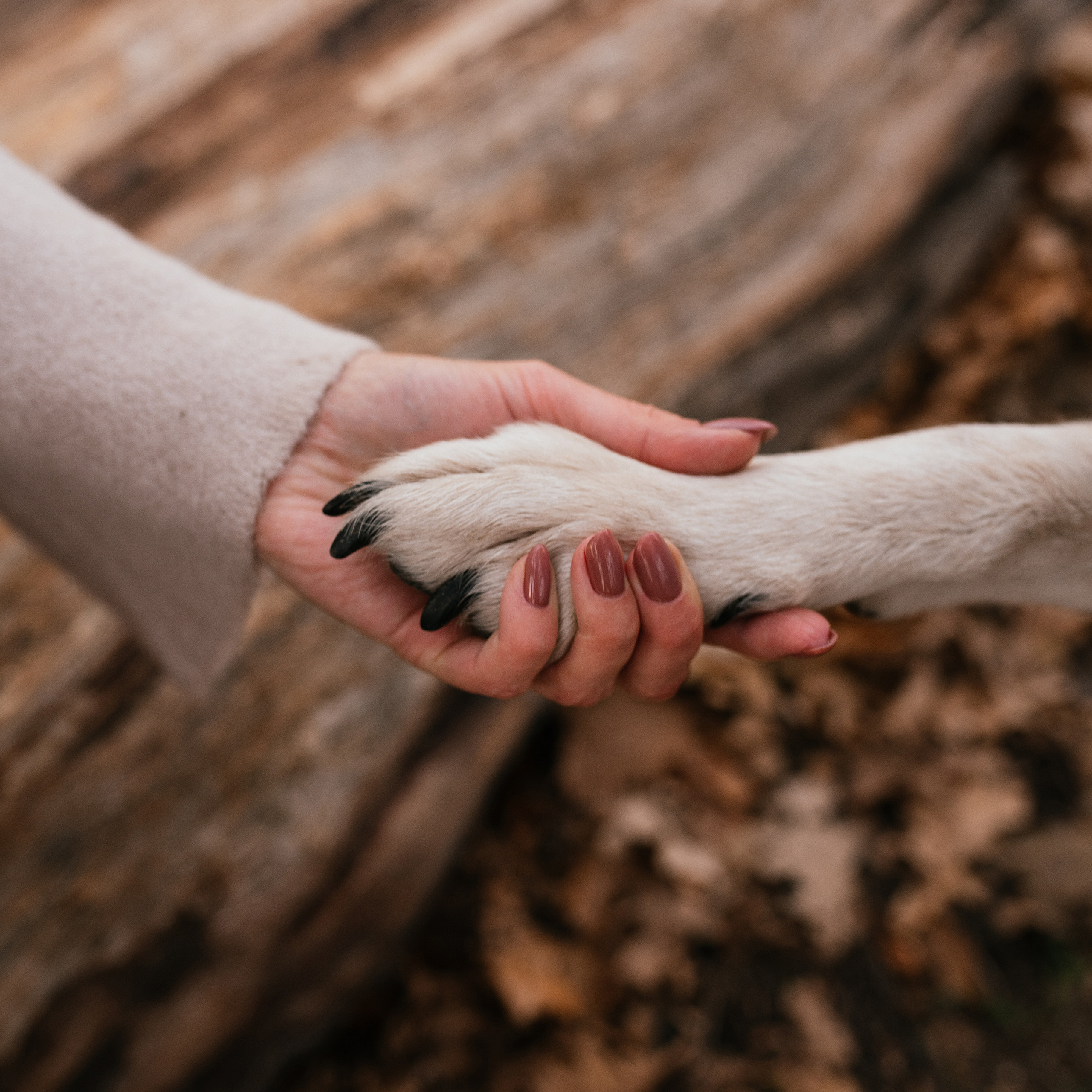 Ирина и Грейси