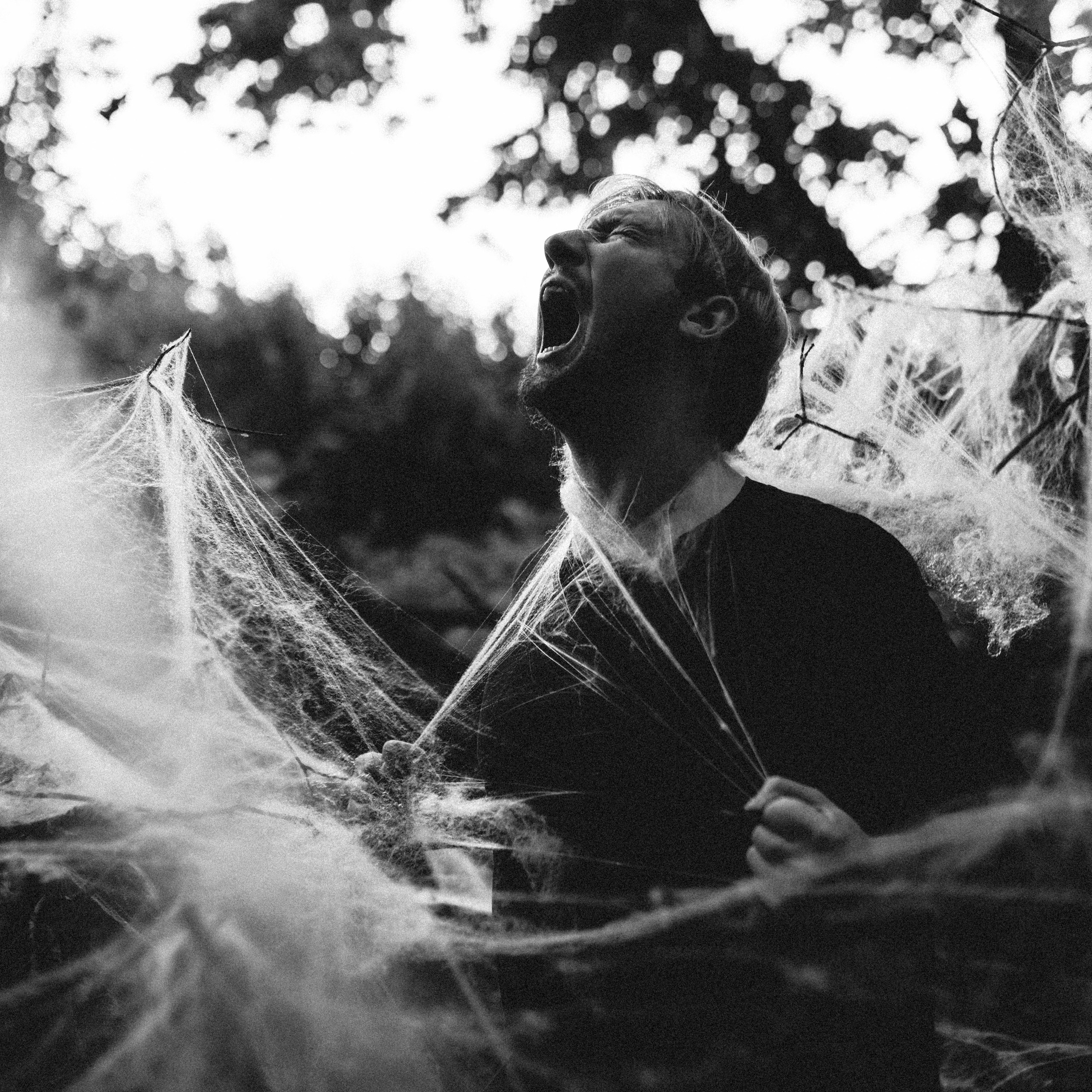 Паутина Паша