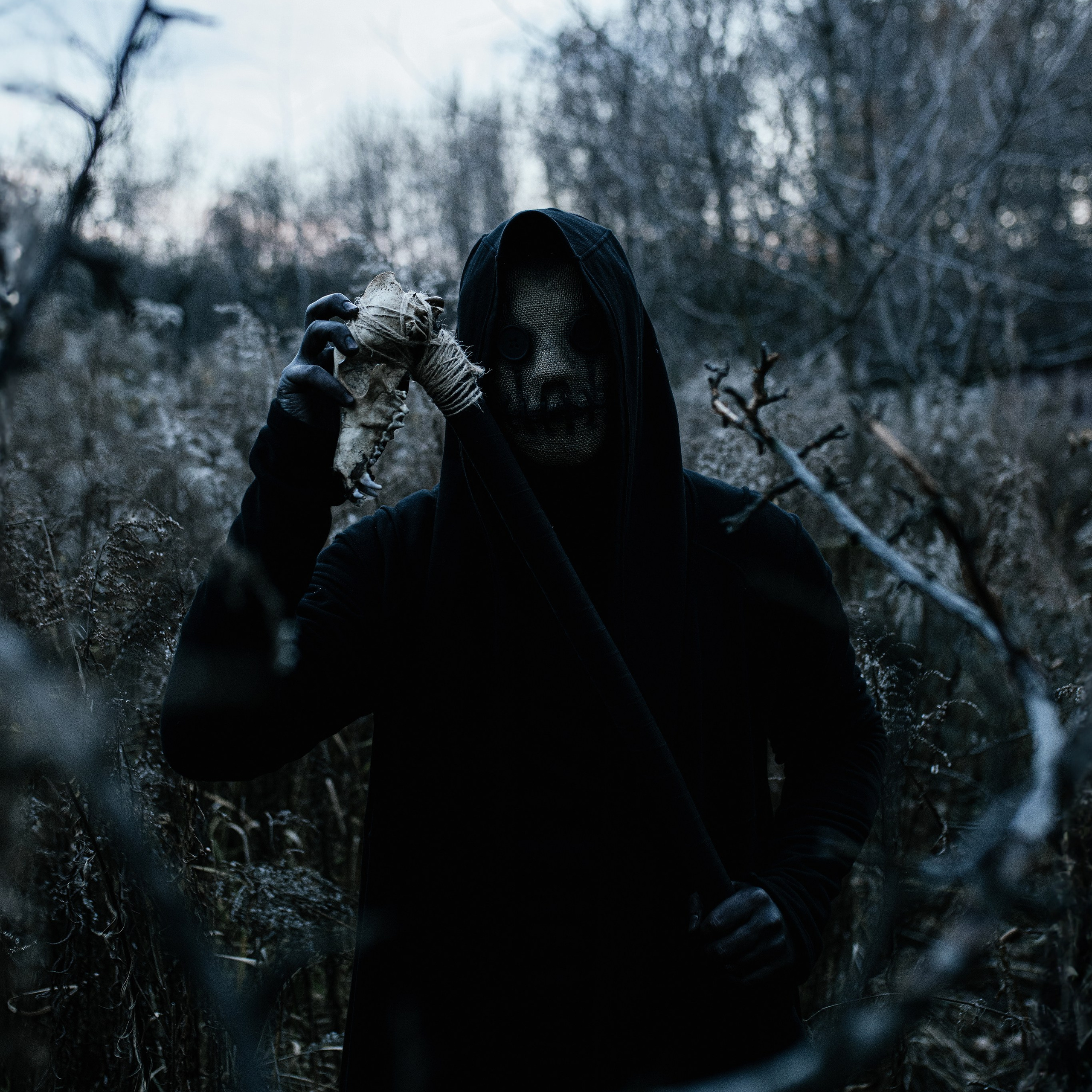 Guardian of the Forest