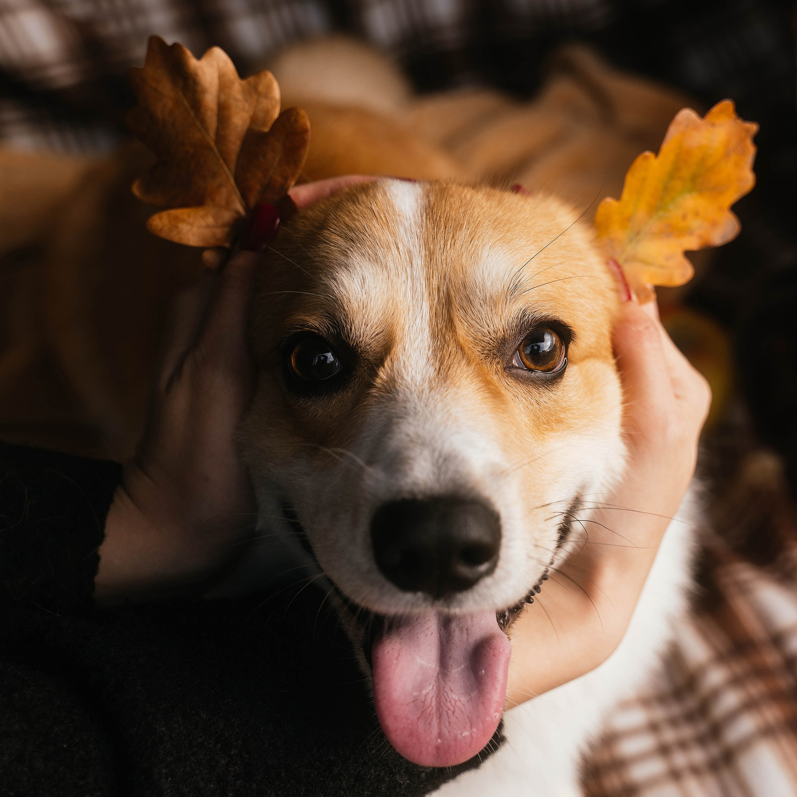 Настя, Рома, Лера и Макки