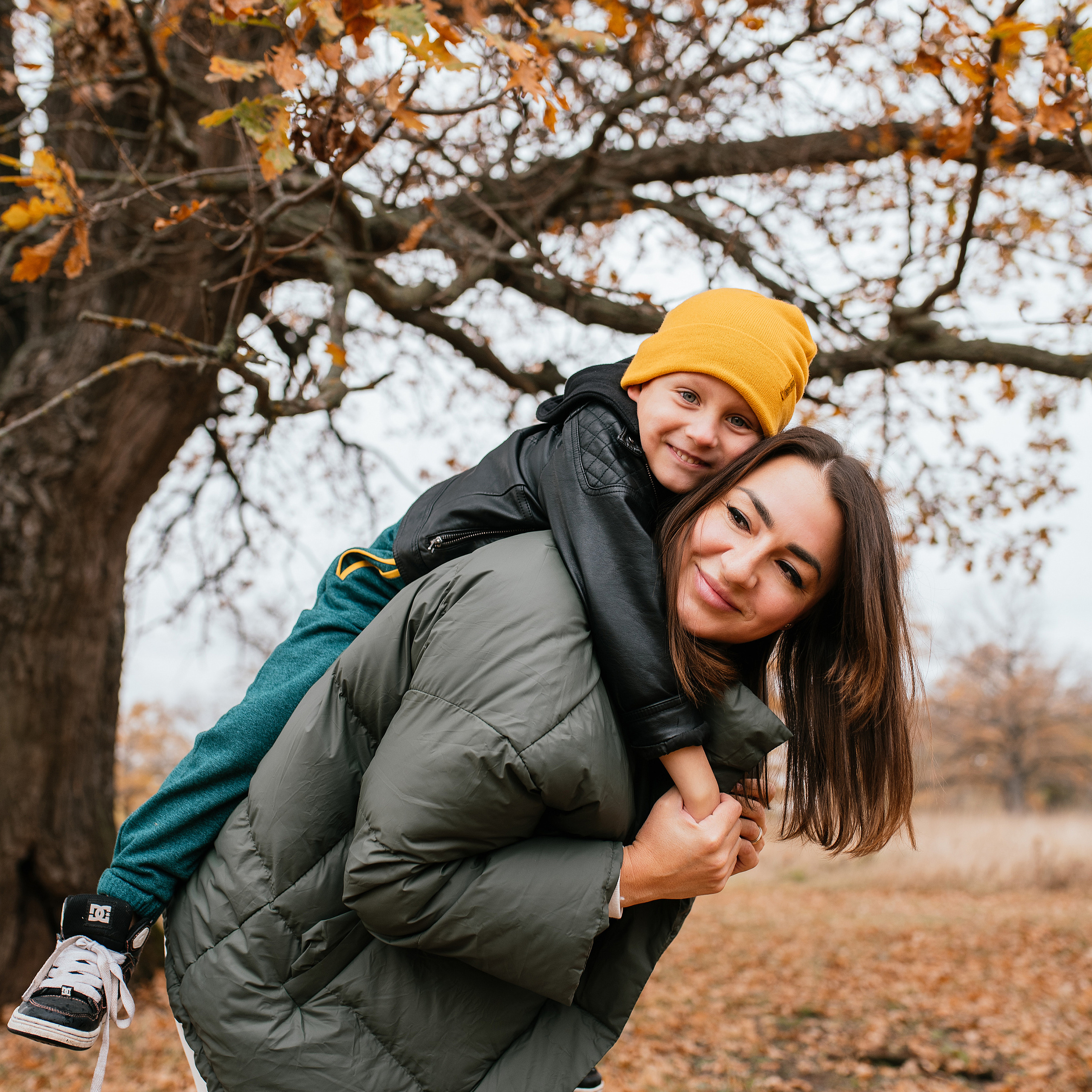 Дубки, осень