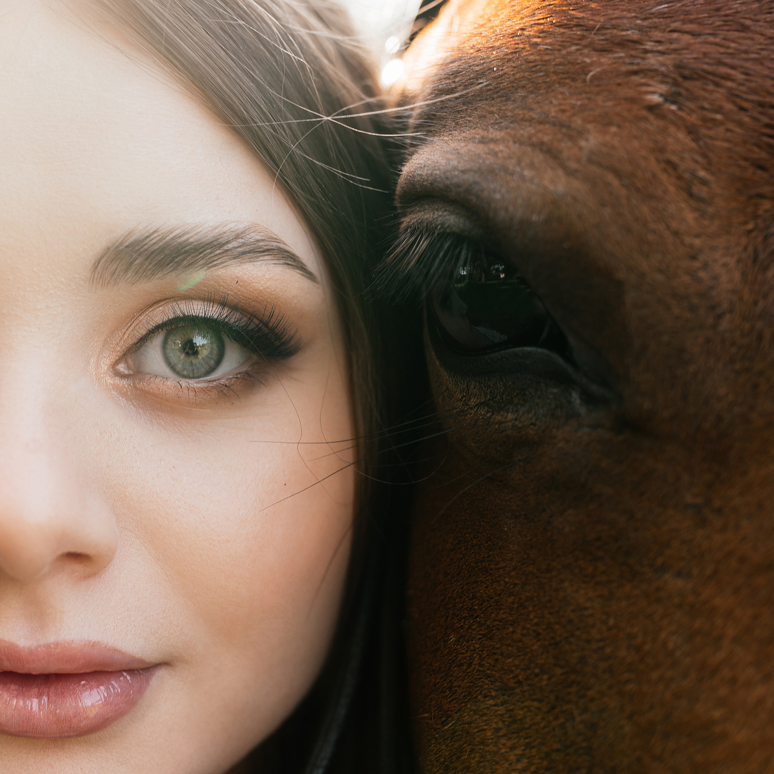 Фотодень с лошадью