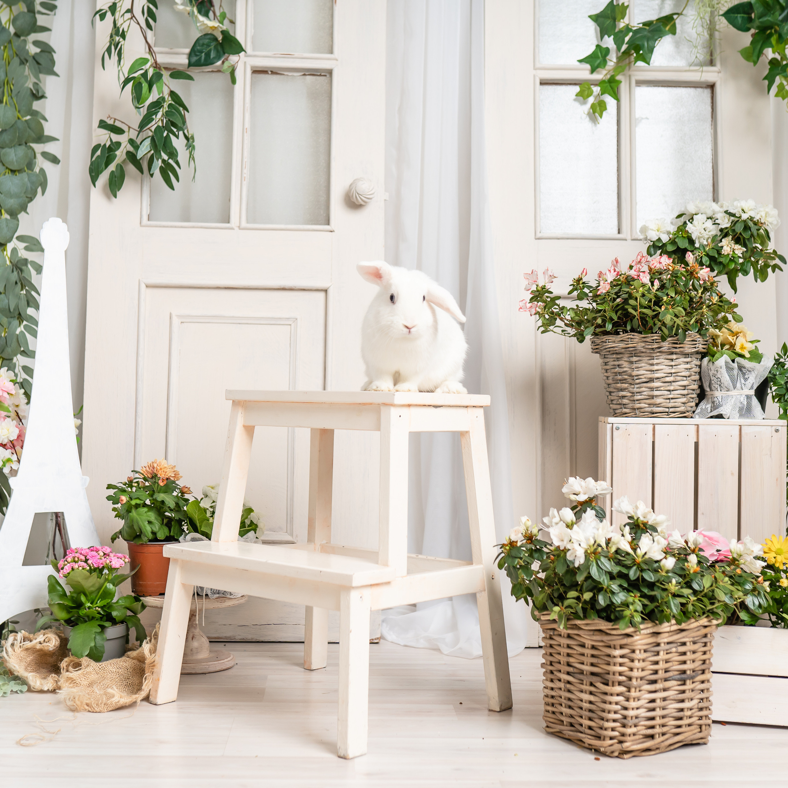 Напишите мне отзыв о моей работе. Детский, семейный фотограф: newborn, беременность, годовасие, репортаж. Москва