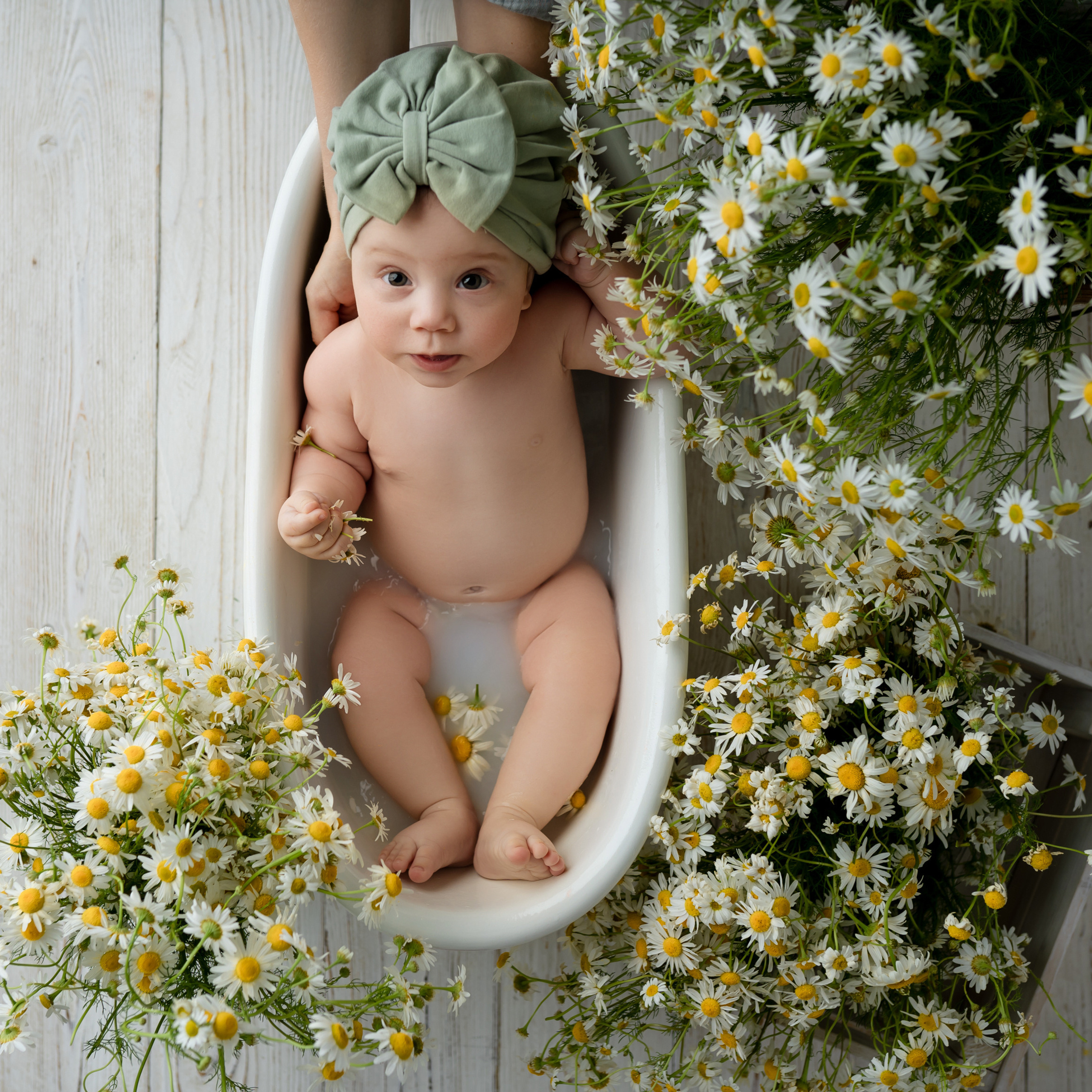 Детский фотограф Москва. Детский, семейный фотограф: newborn, беременность, годовасие, репортаж. Москва