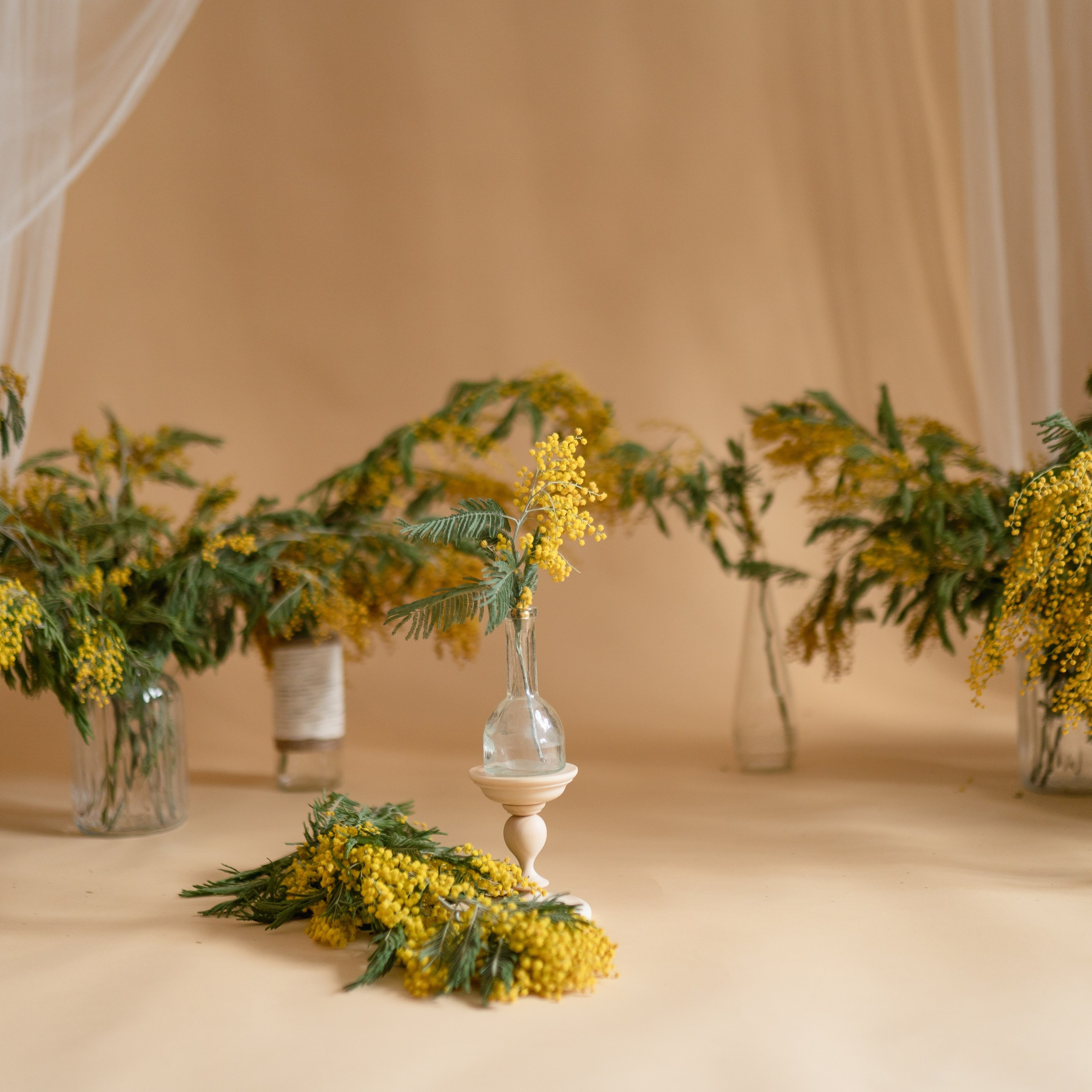 Напишите мне отзыв о моей работе. Детский, семейный фотограф: newborn, беременность, годовасие, репортаж. Москва