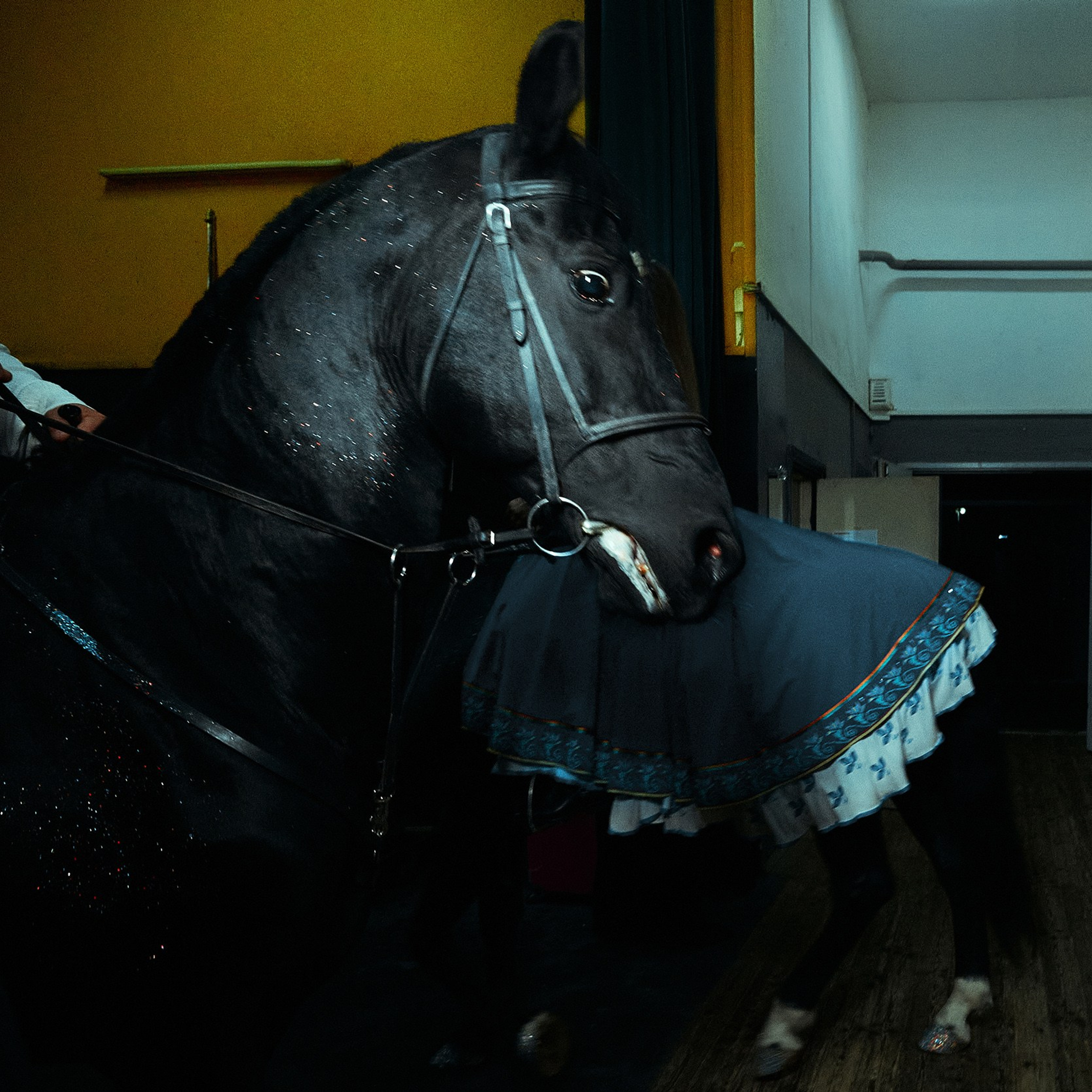 проект «Жизнь артистов»/project «Artist life»