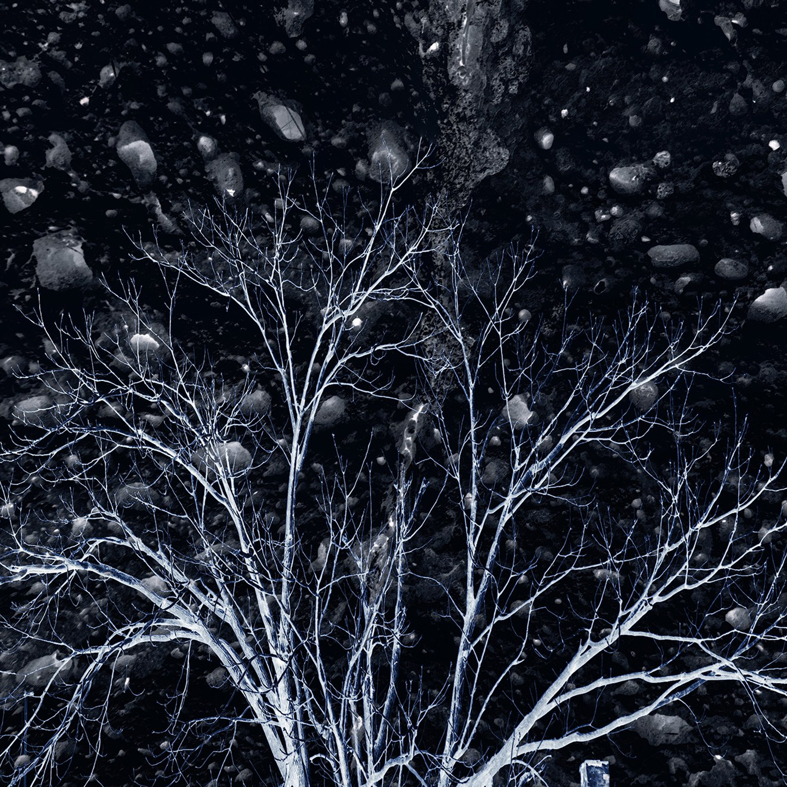 проект «Стражи времени"/project «Gurdians of time»