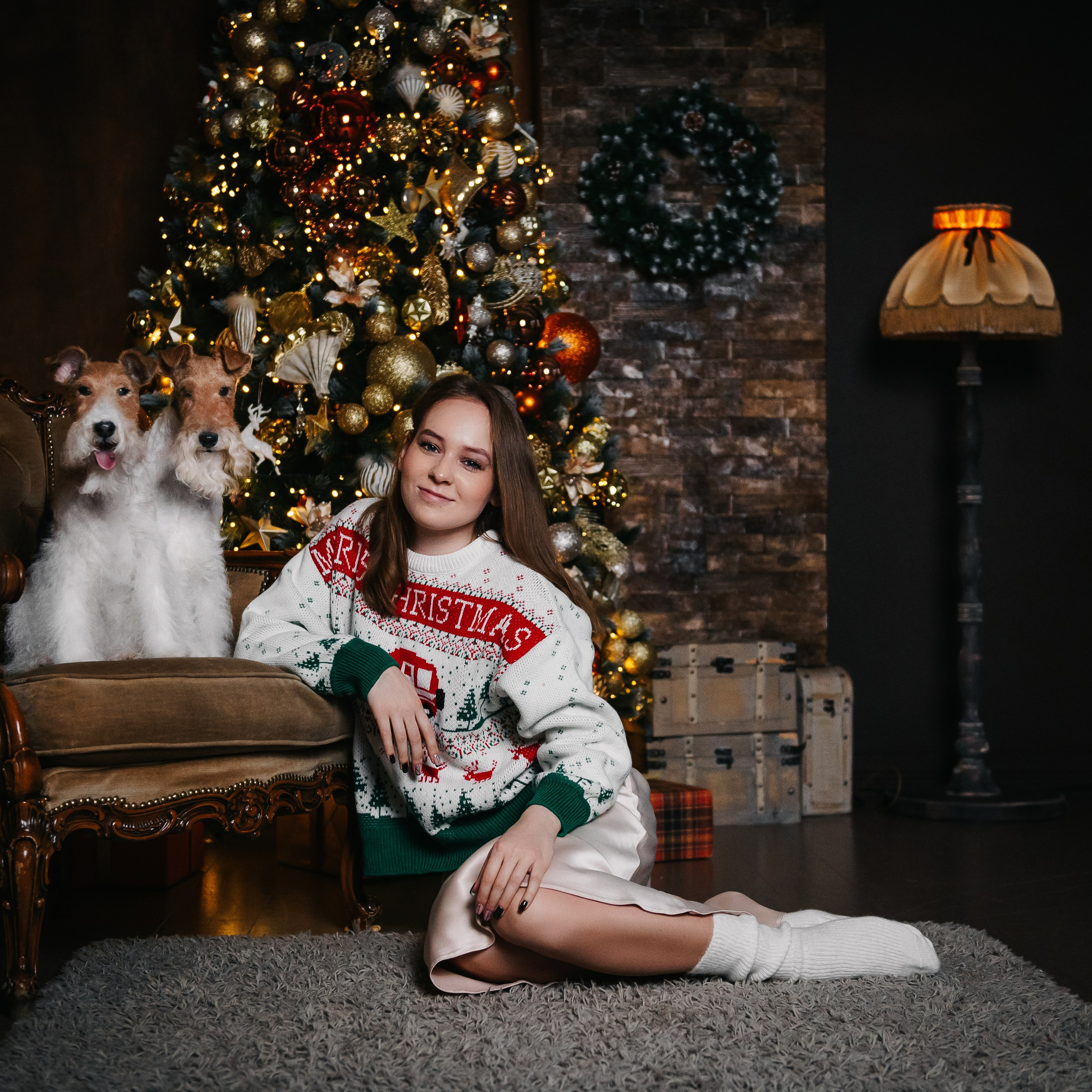 Новогодняя серия: Диана и фокстерьеры Дива и Тэффи (Москва, 2023)