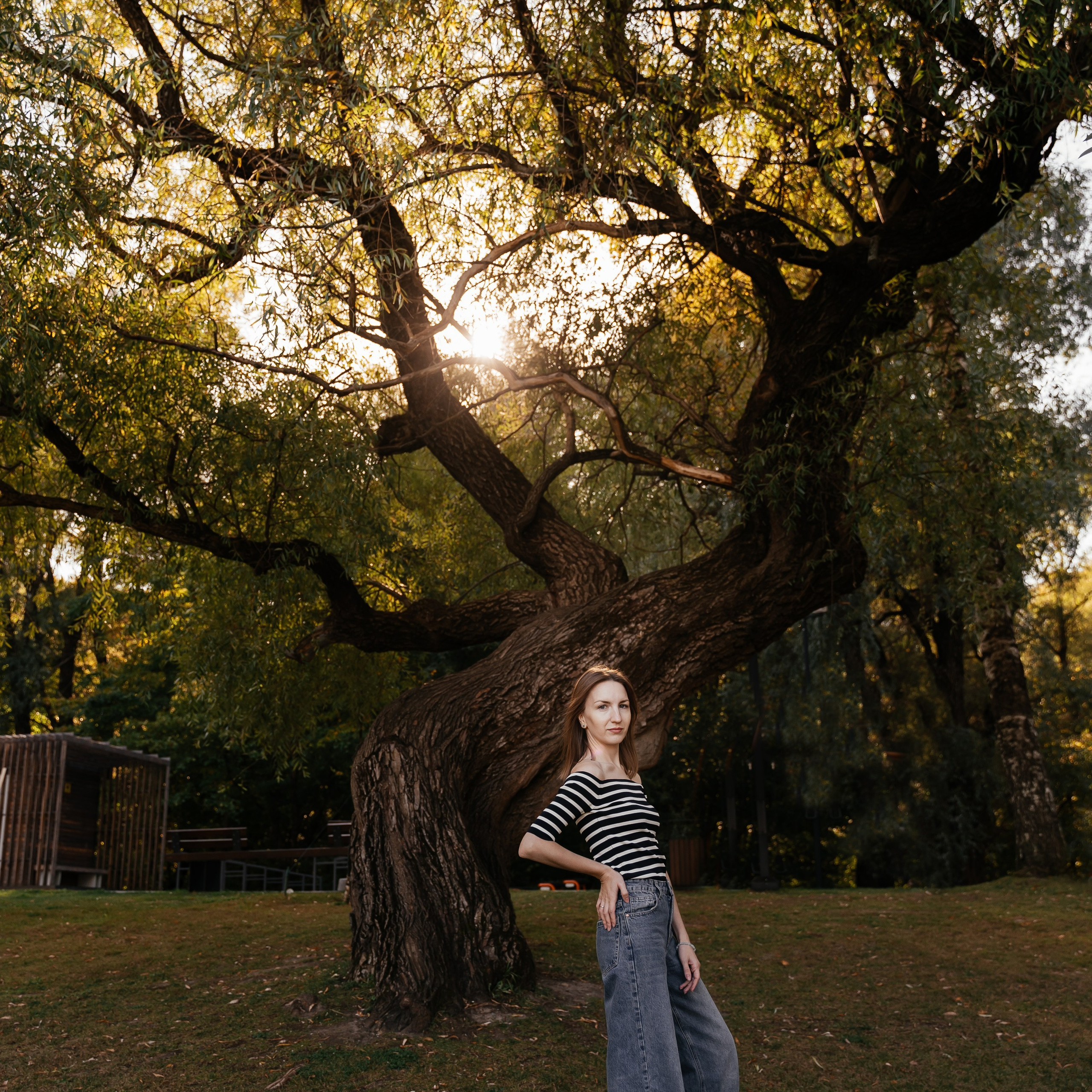 Вероника осень