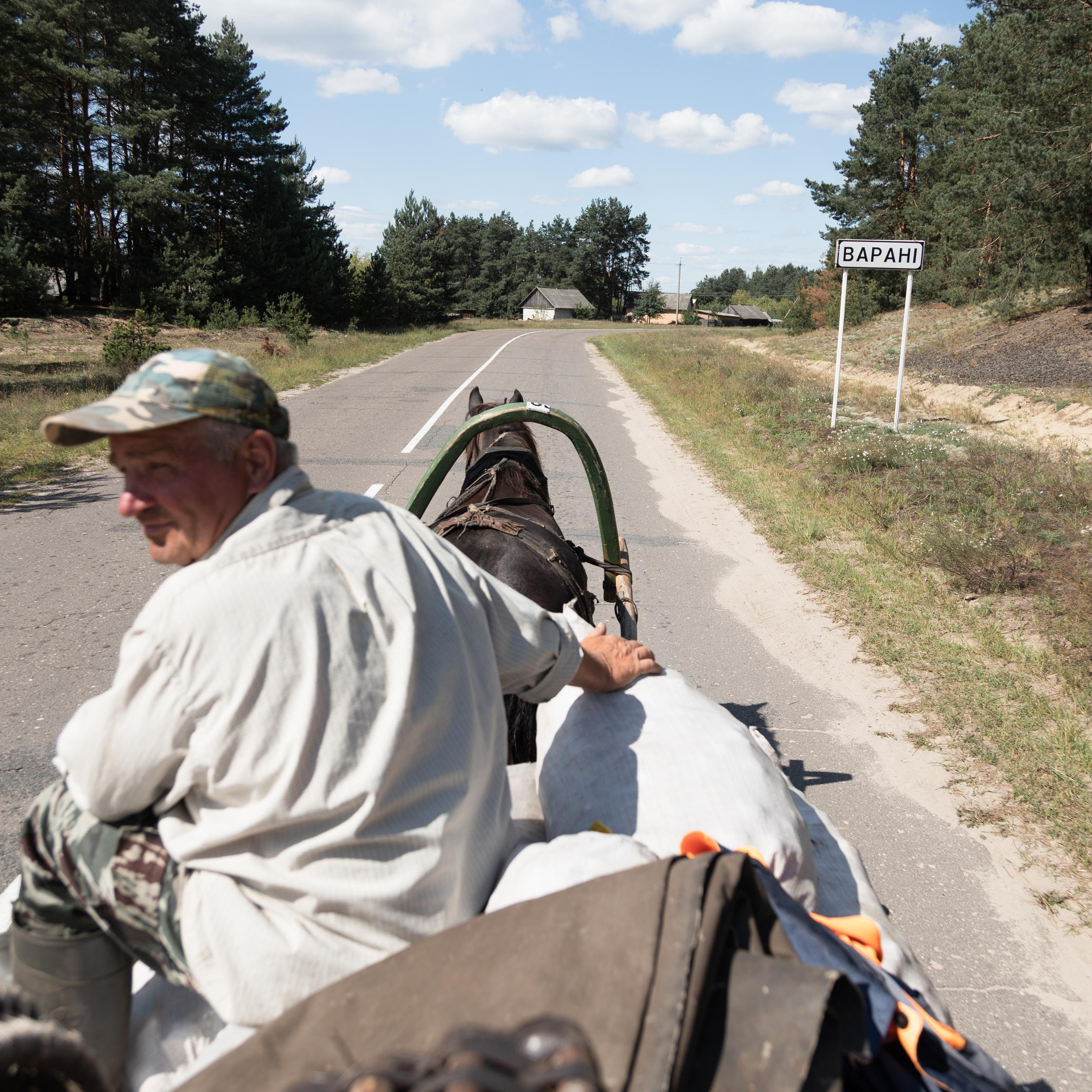 Отзывы. Фотограф Минск — Осиповичи Ерошевич Елена