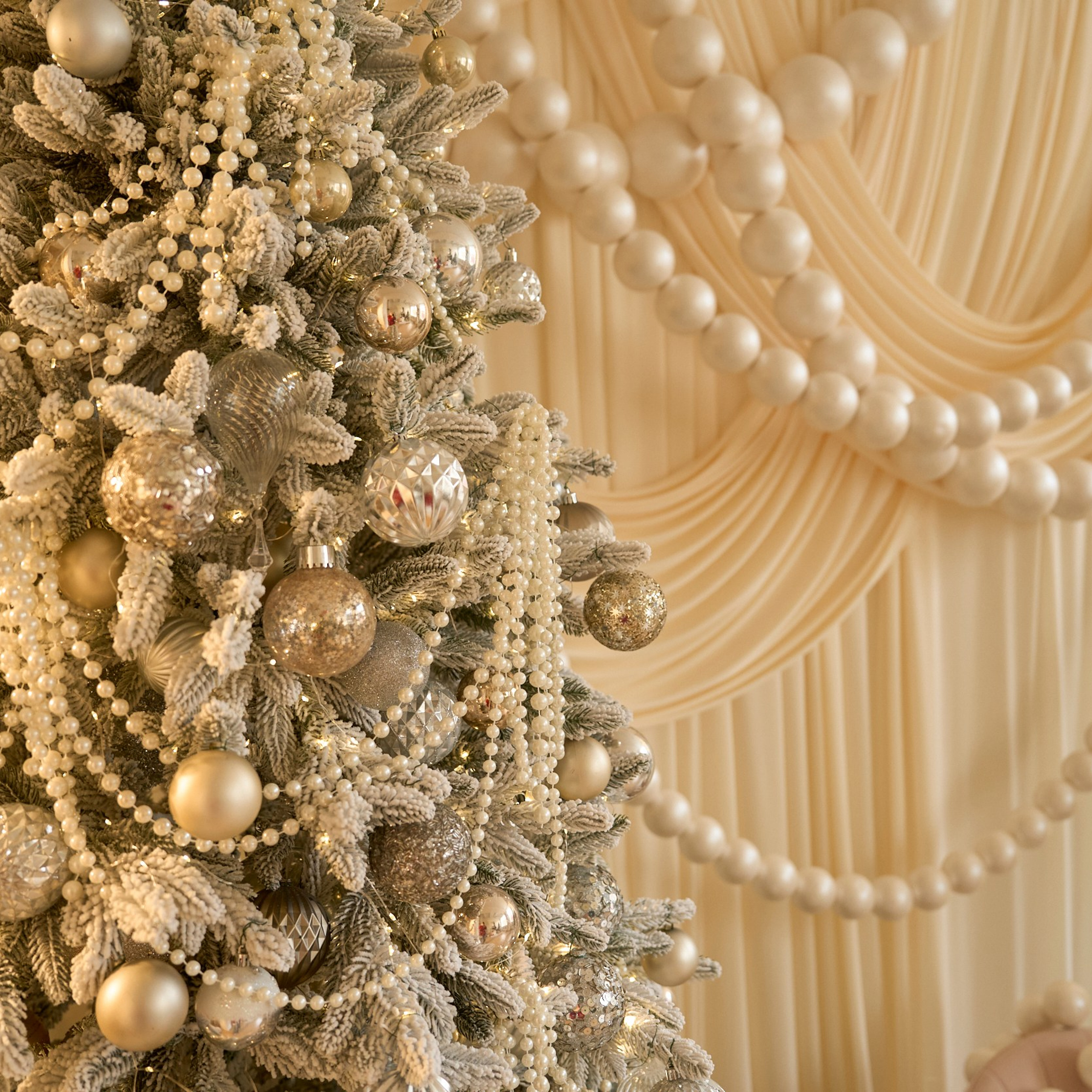 Paris. Женский фотограф в Хабаровске