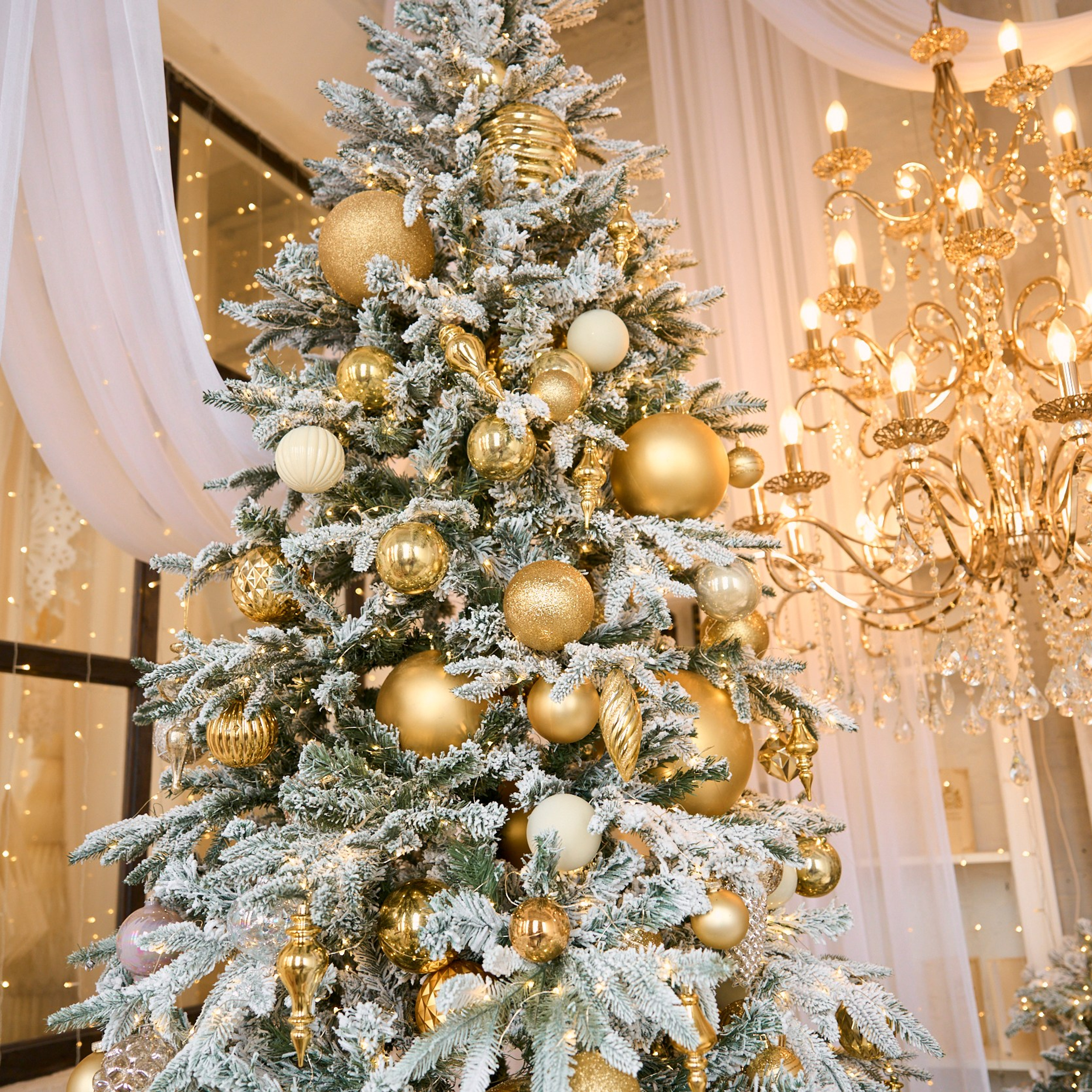 Flat. Женский фотограф в Хабаровске