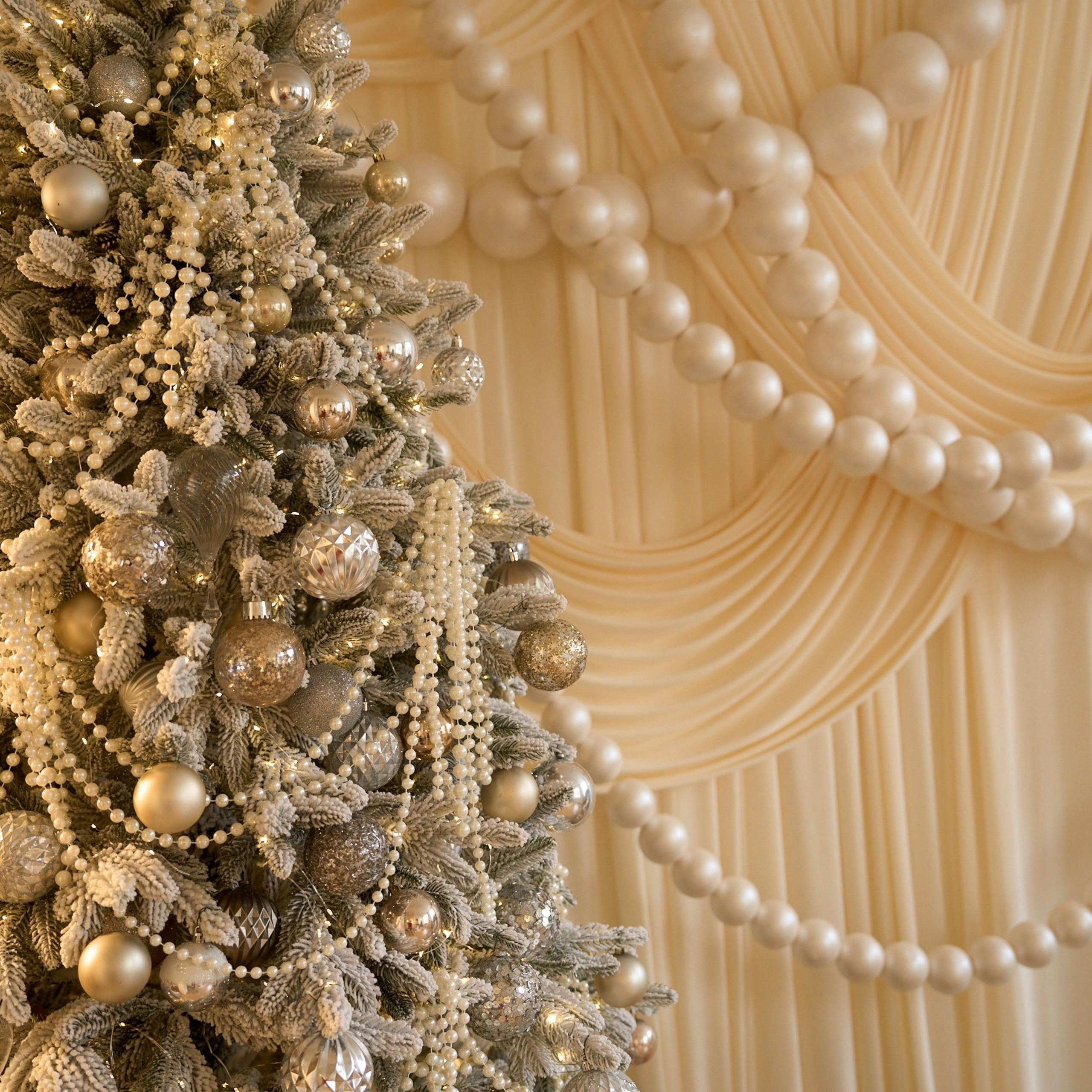 Paris. Женский фотограф в Хабаровске