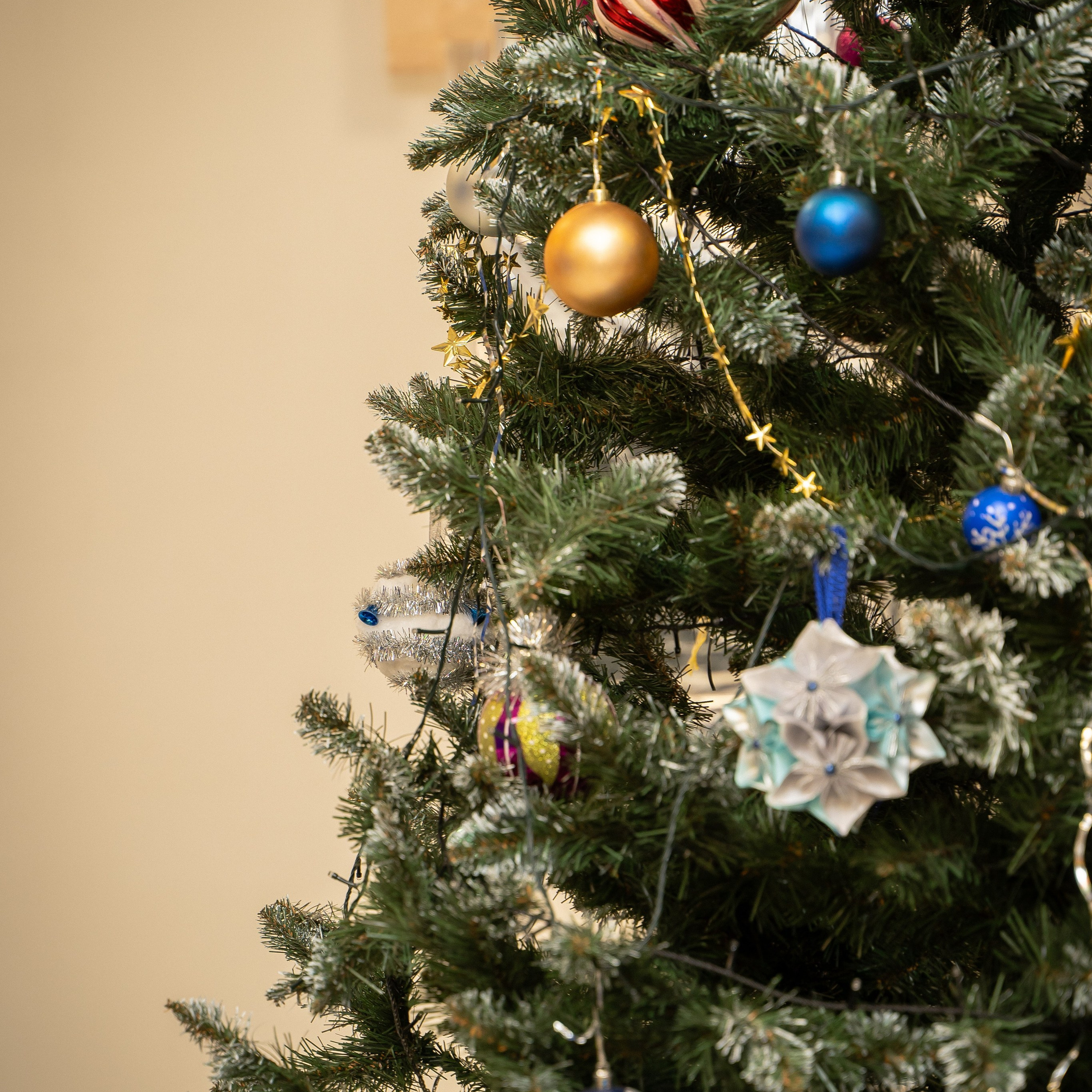 Отзывы. Контент-фотограф Власова Валентина, г. Ейск, ст. Старощербиновская