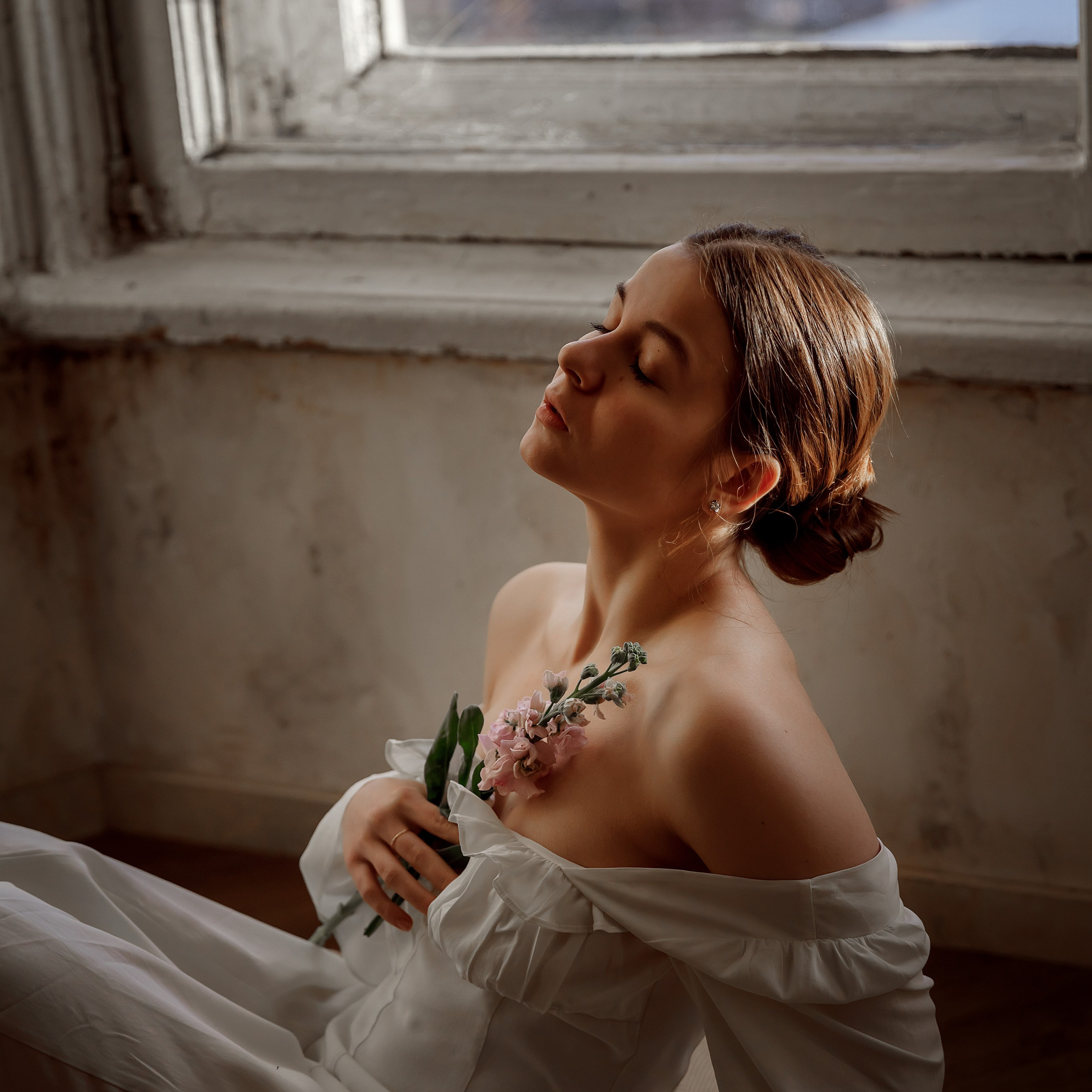 Сердце Петроградки