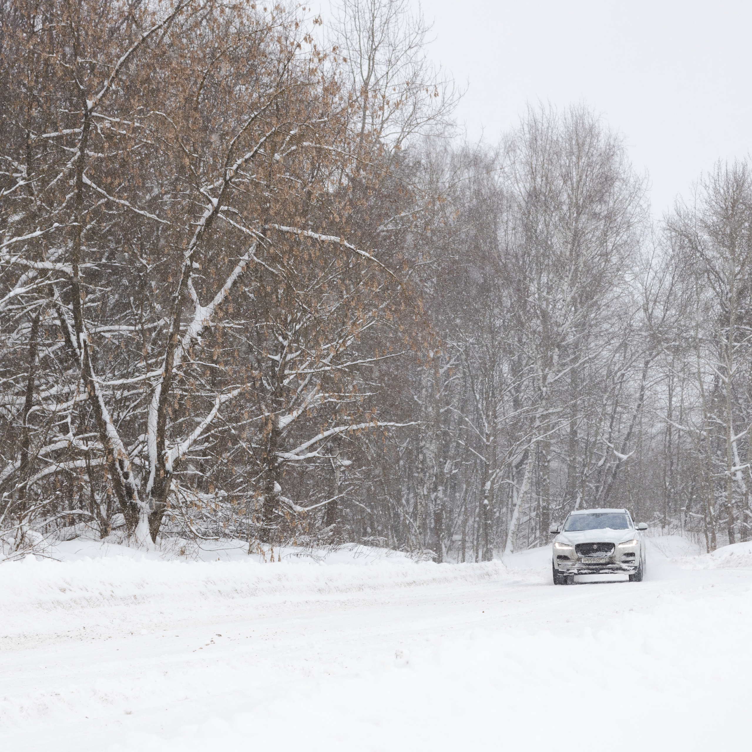 Стелла и Каскад 18/12/22. Фотограф Борис Грибанов