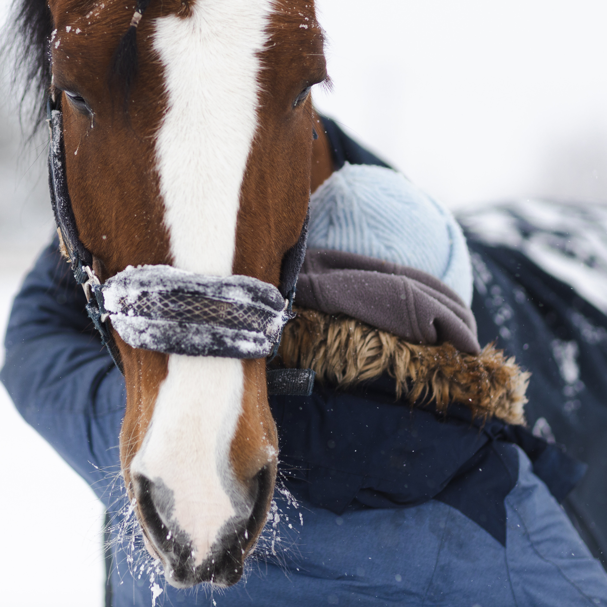 Стелла и Каскад 18/12/22. Фотограф Борис Грибанов