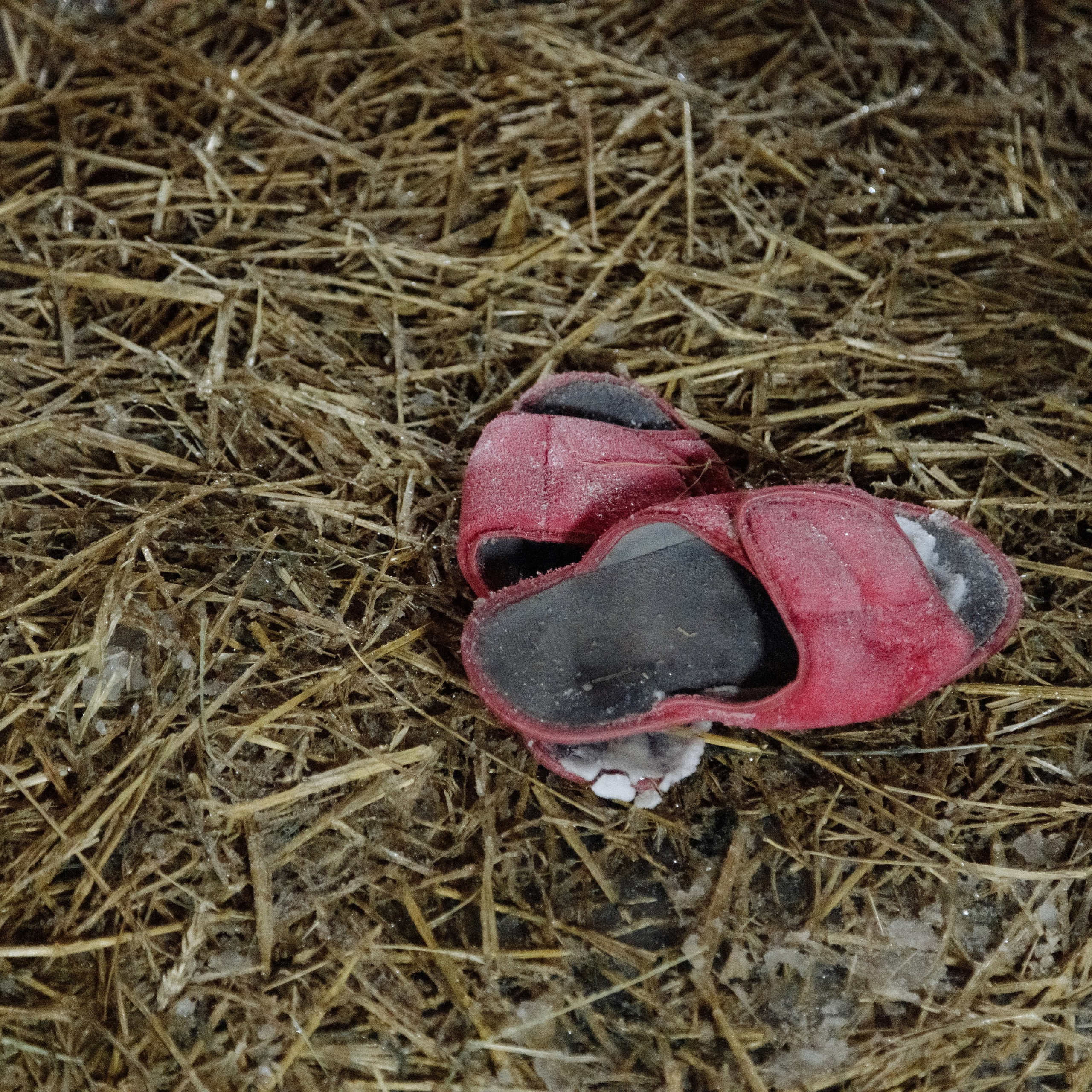 Крещенские купания в Останкино. Фотограф Борис Грибанов