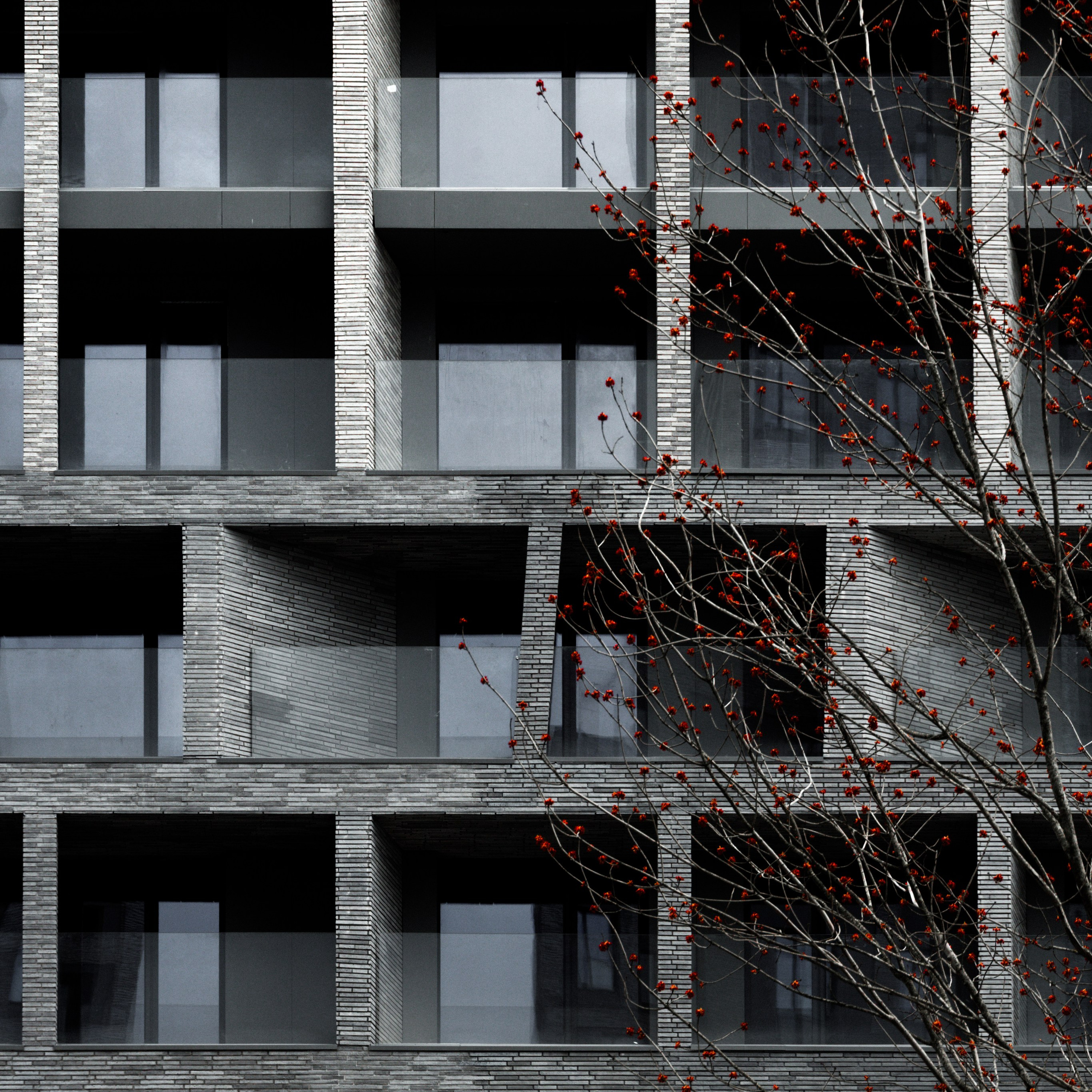 Архитектура и интерьер. Фотограф Борис Грибанов