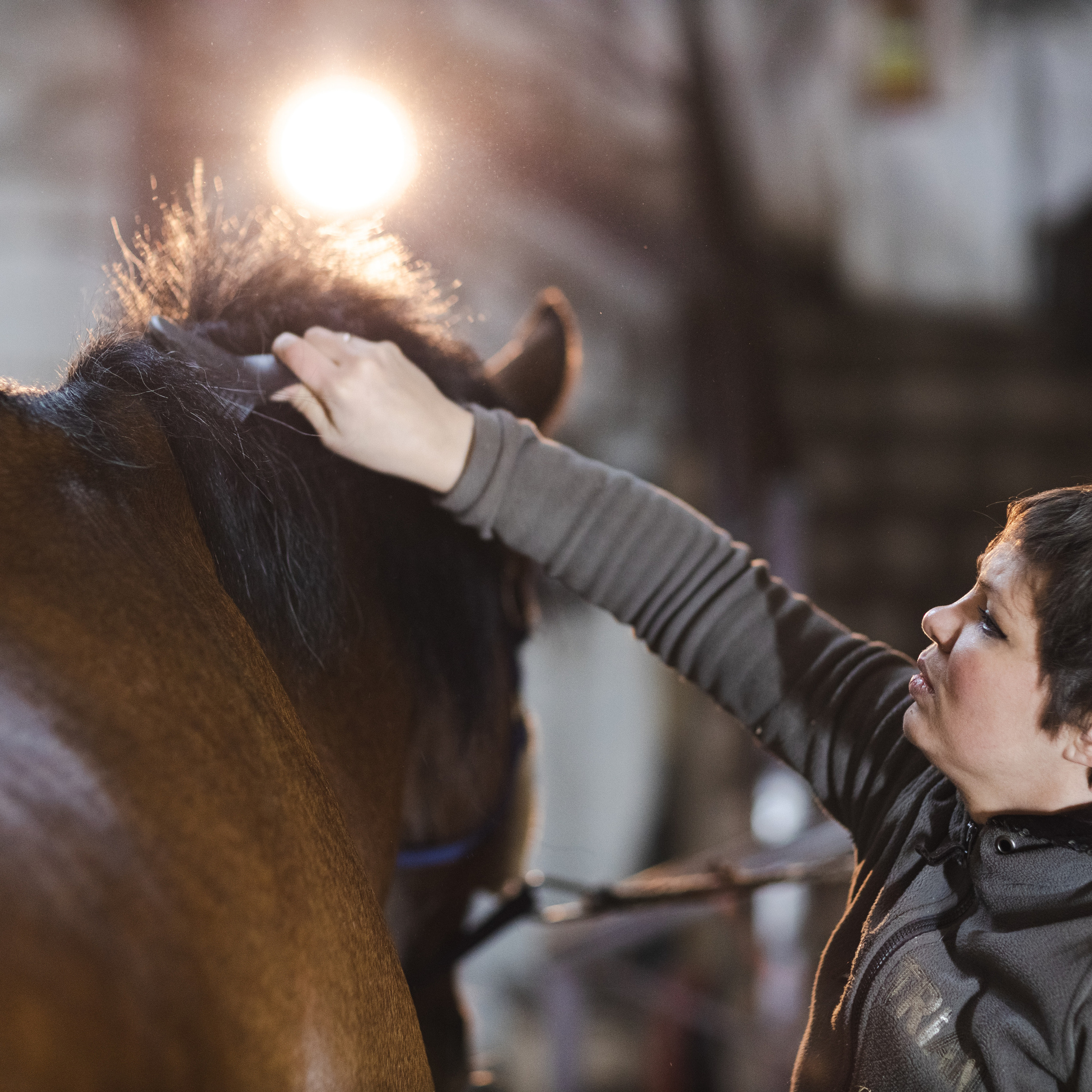 Стелла и Каскад 18/12/22. Фотограф Борис Грибанов