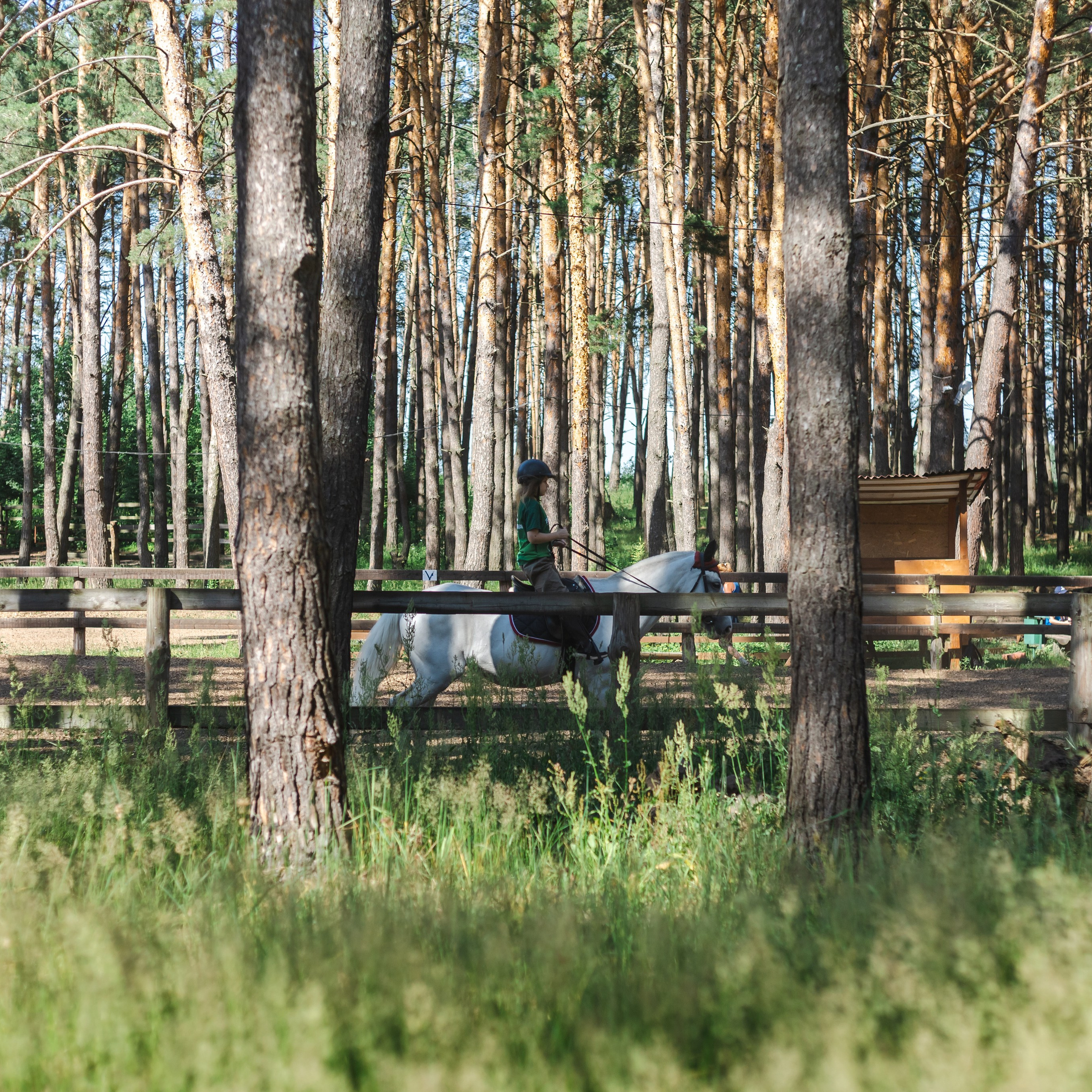 Komandor camp /22. Фотограф Борис Грибанов