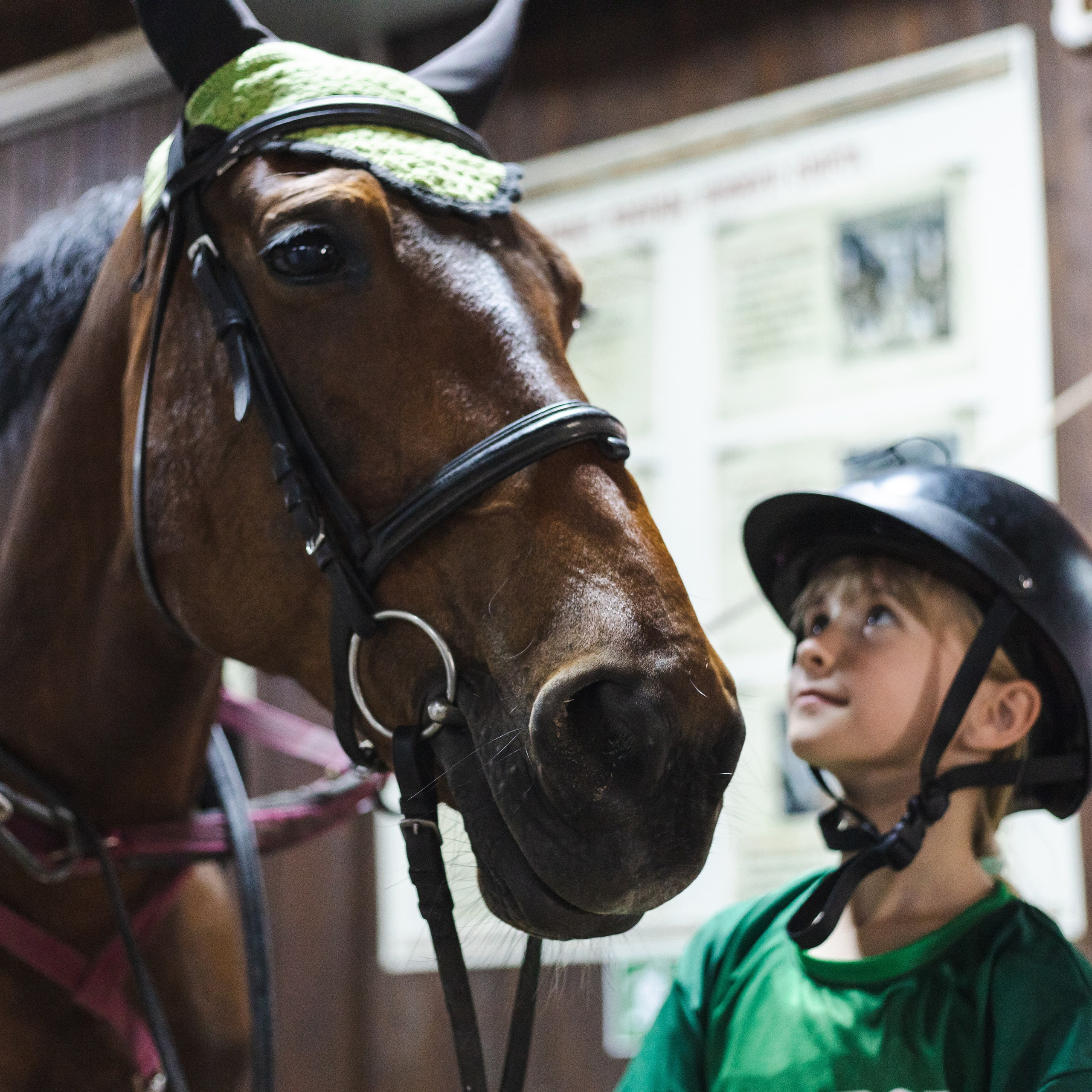 Komandor camp /22. Фотограф Борис Грибанов