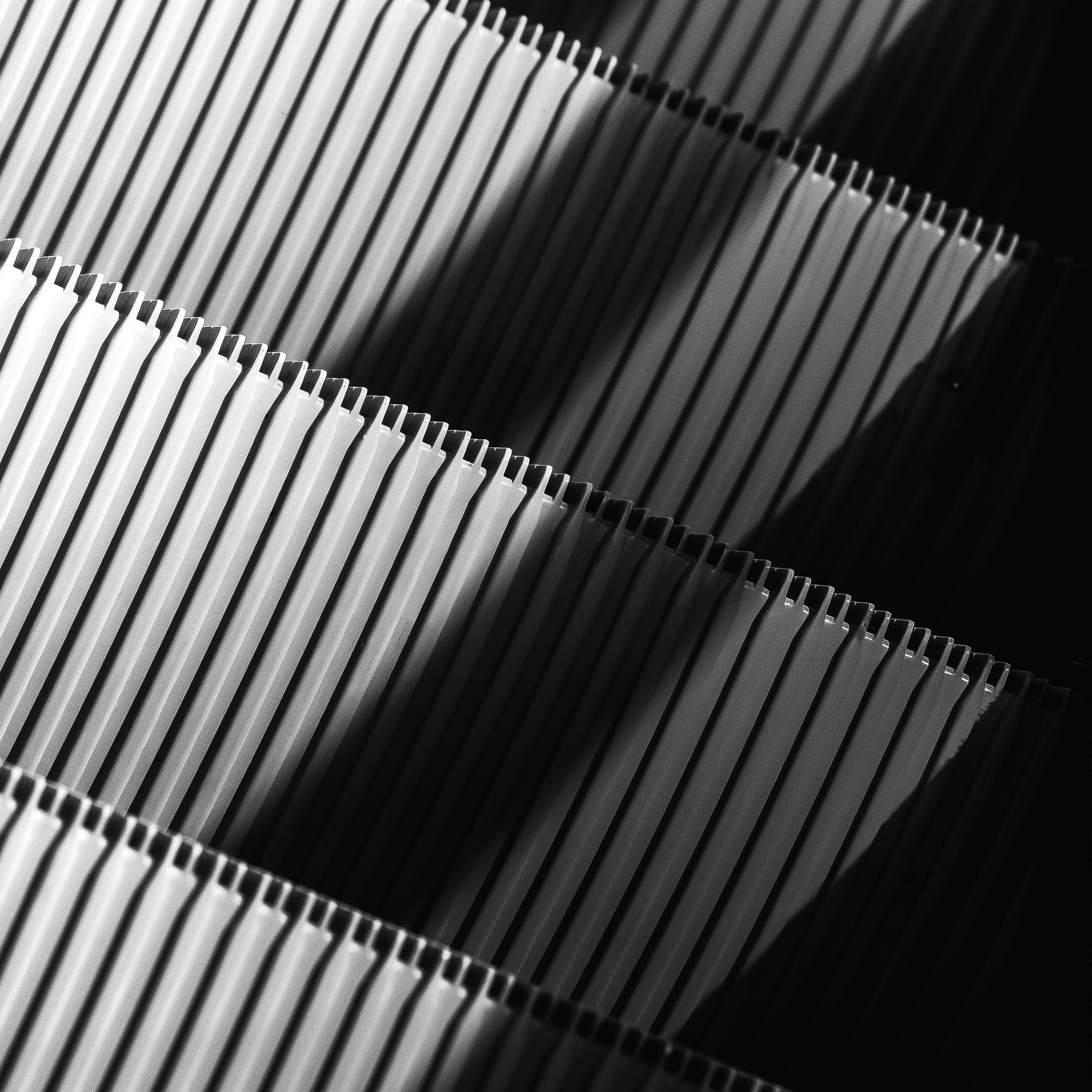 Фотограф Борис Грибанов