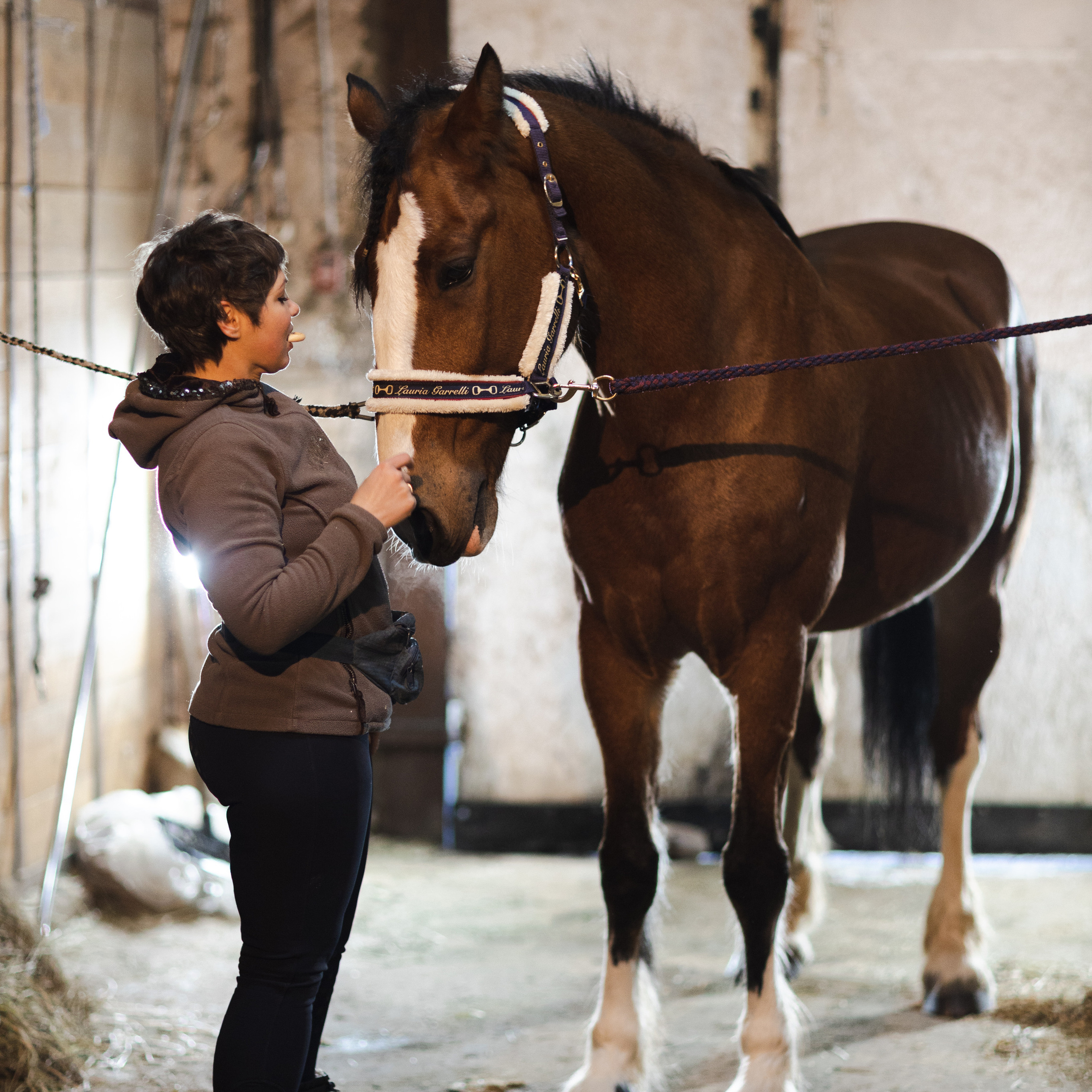 Стелла и Каскад 18/12/22. Фотограф Борис Грибанов