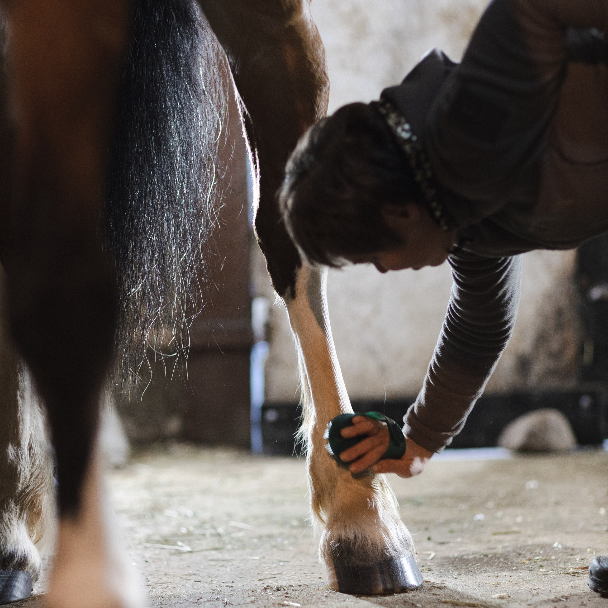 Стелла и Каскад 18/12/22. Фотограф Борис Грибанов