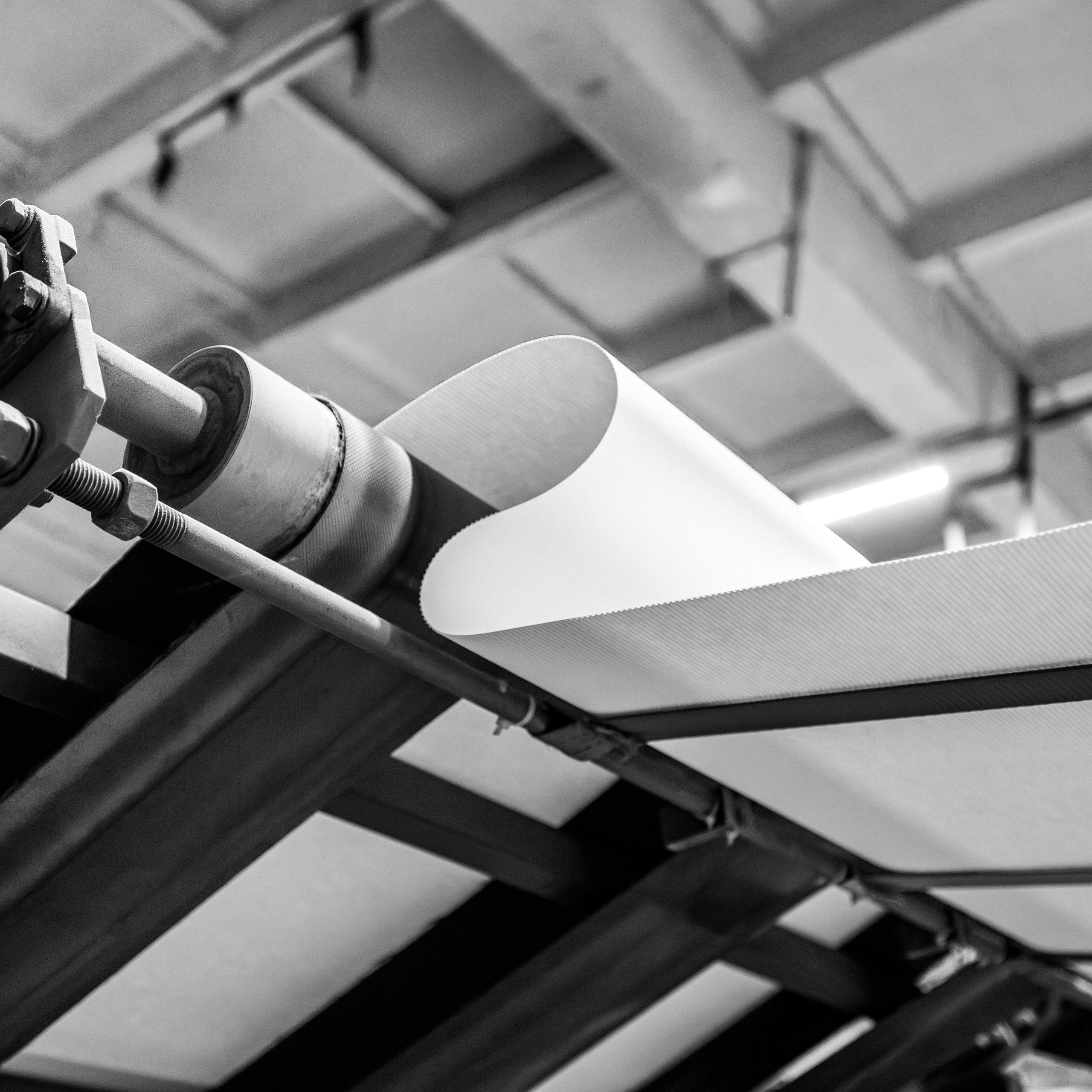 Фотограф Борис Грибанов