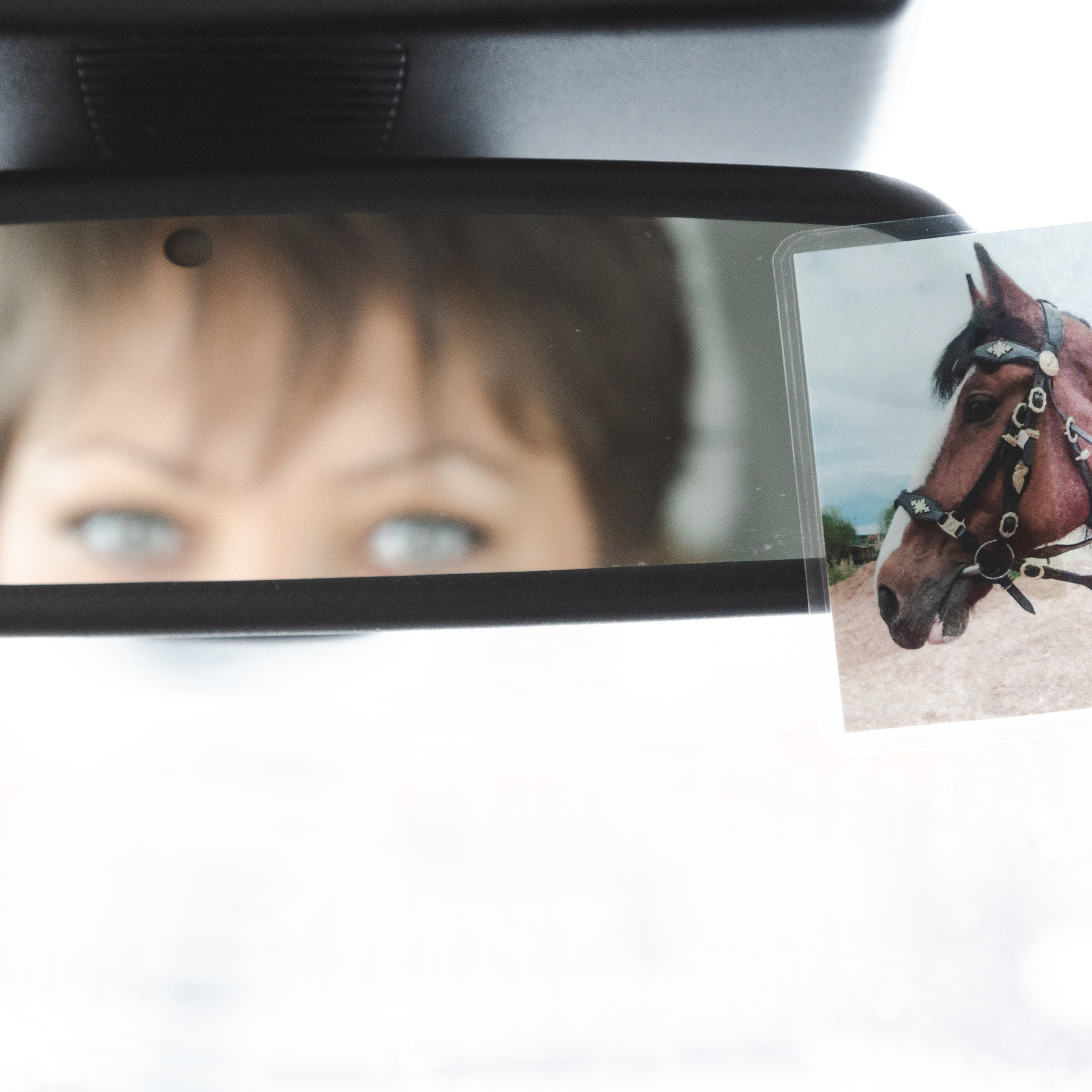 Стелла и Каскад 18/12/22. Фотограф Борис Грибанов