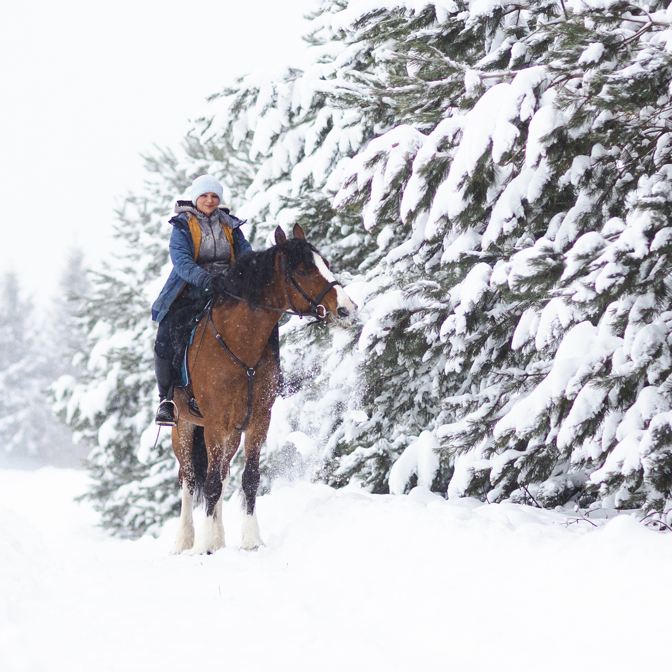 Стелла и Каскад 18/12/22. Фотограф Борис Грибанов