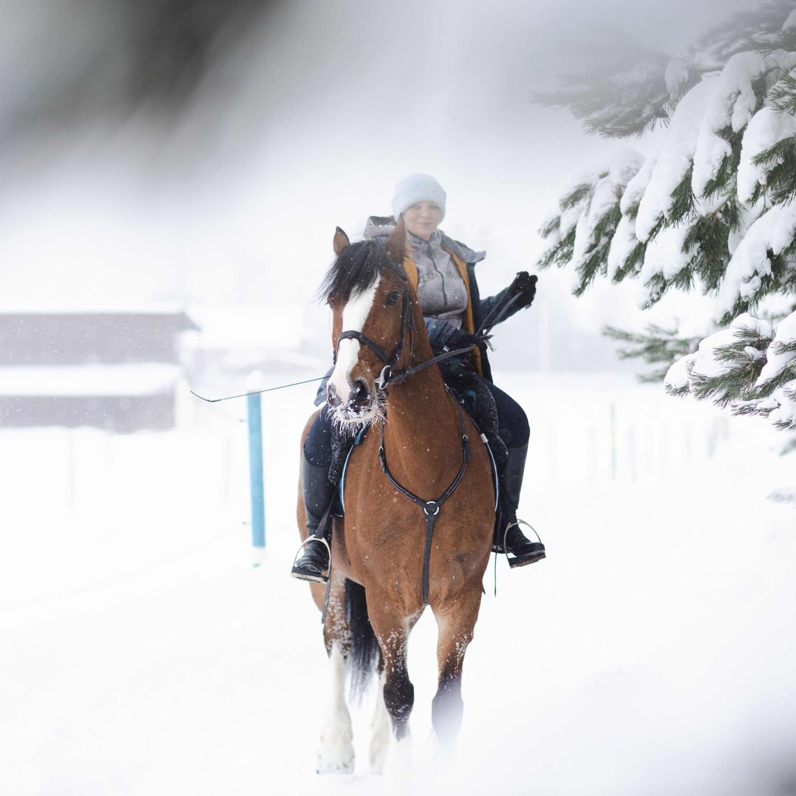 Стелла и Каскад 18/12/22. Фотограф Борис Грибанов