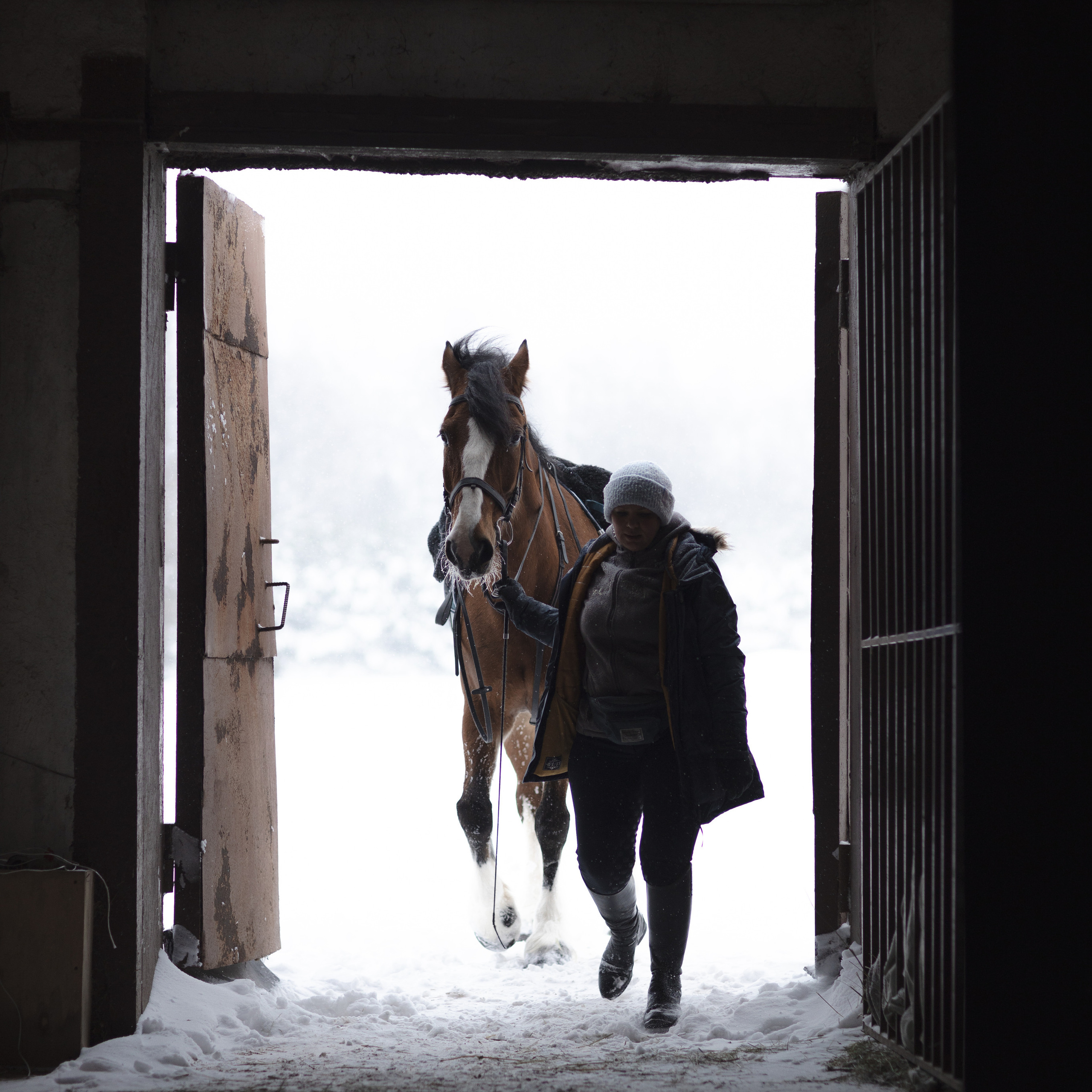 Стелла и Каскад 18/12/22. Фотограф Борис Грибанов