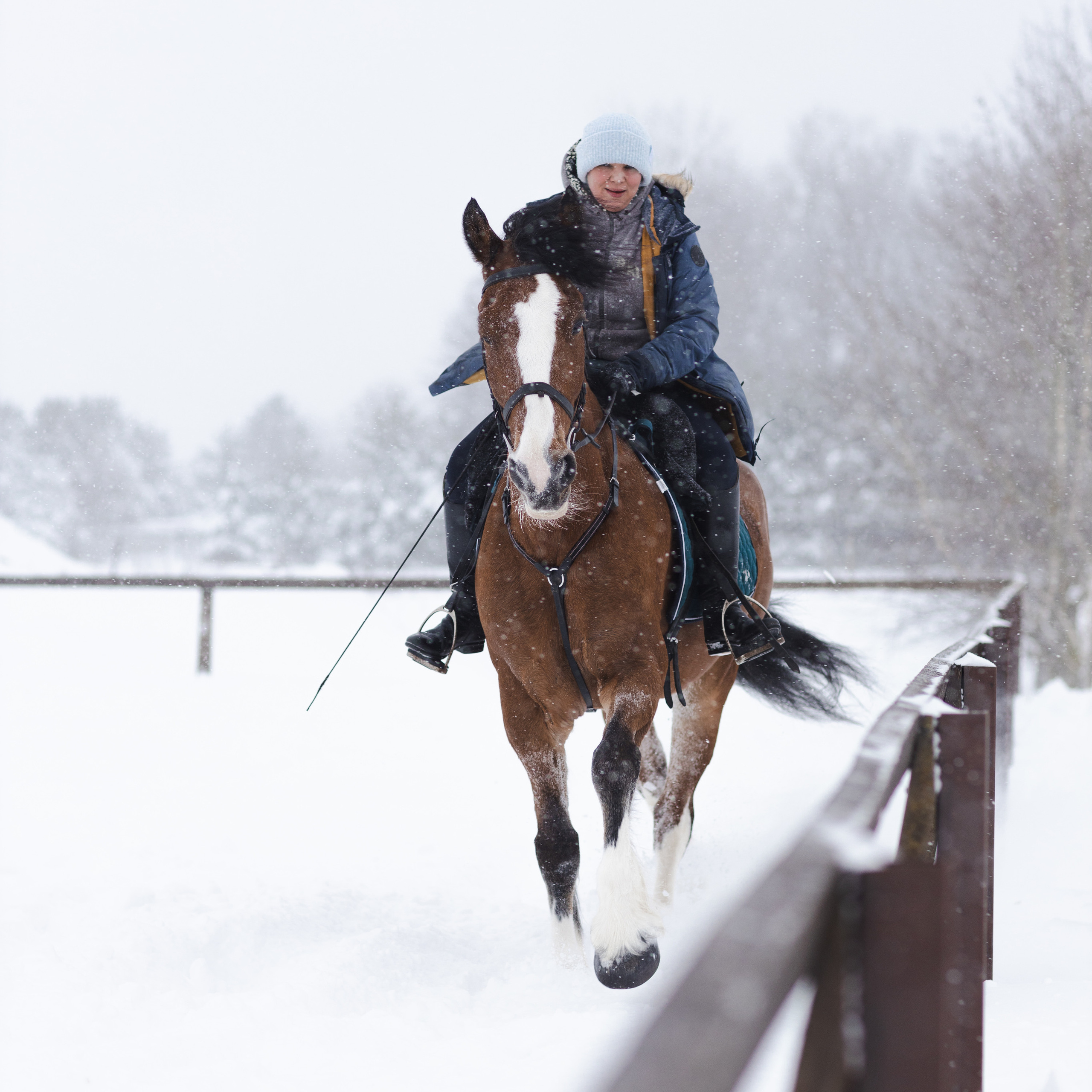 Стелла и Каскад 18/12/22. Фотограф Борис Грибанов