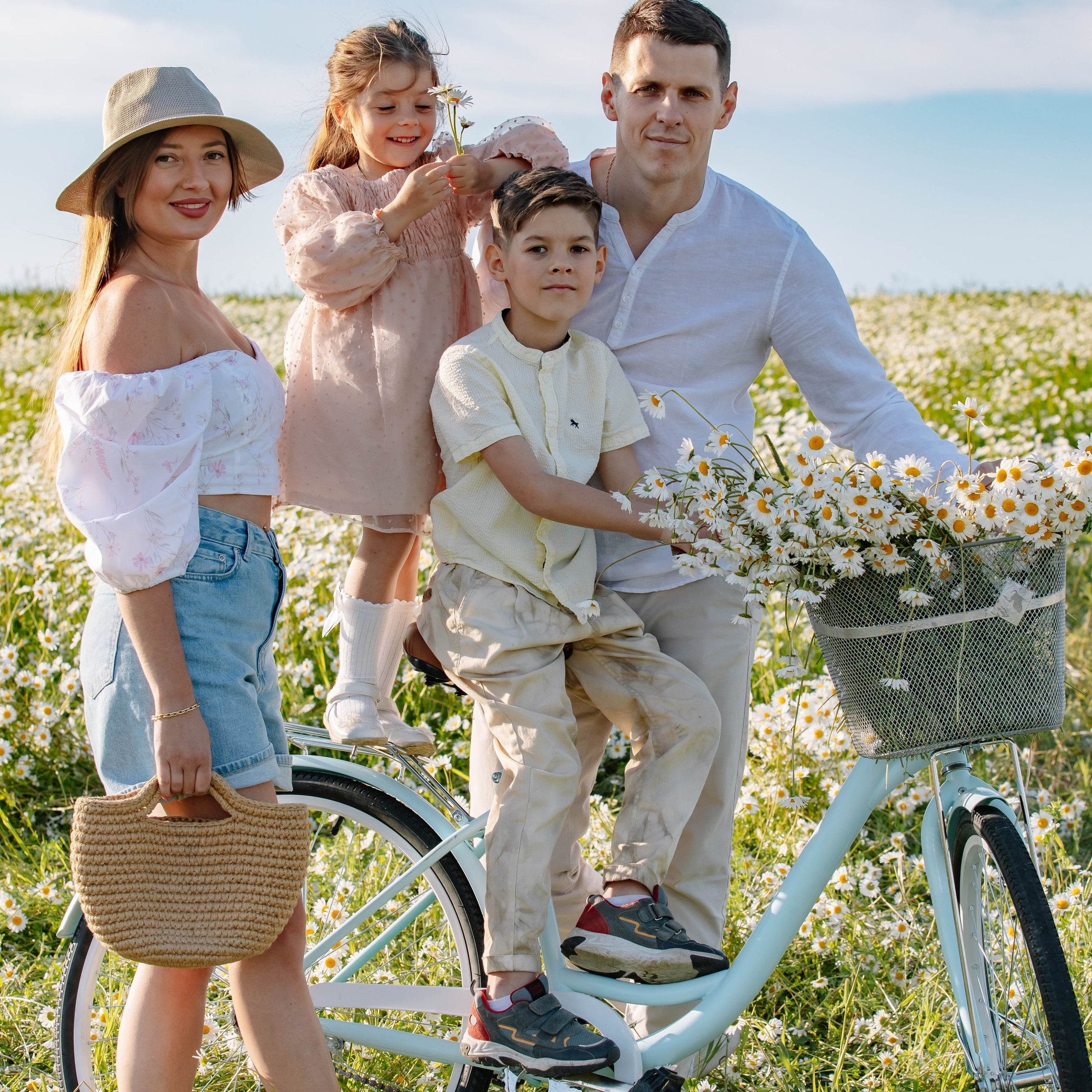 Ромашковое поле