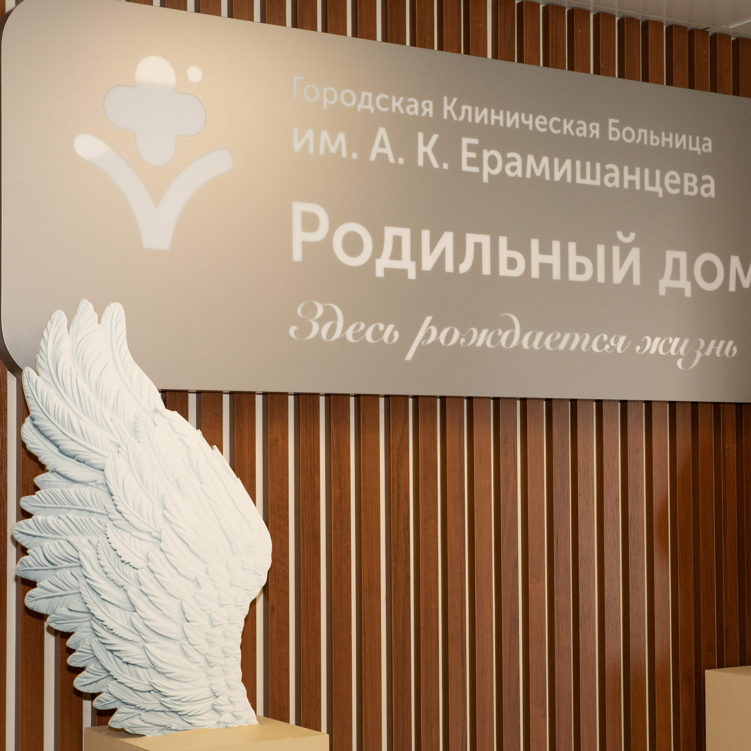 Выписка из&nbsp;роддома ГКБ им.&nbsp;Ерамишанцева