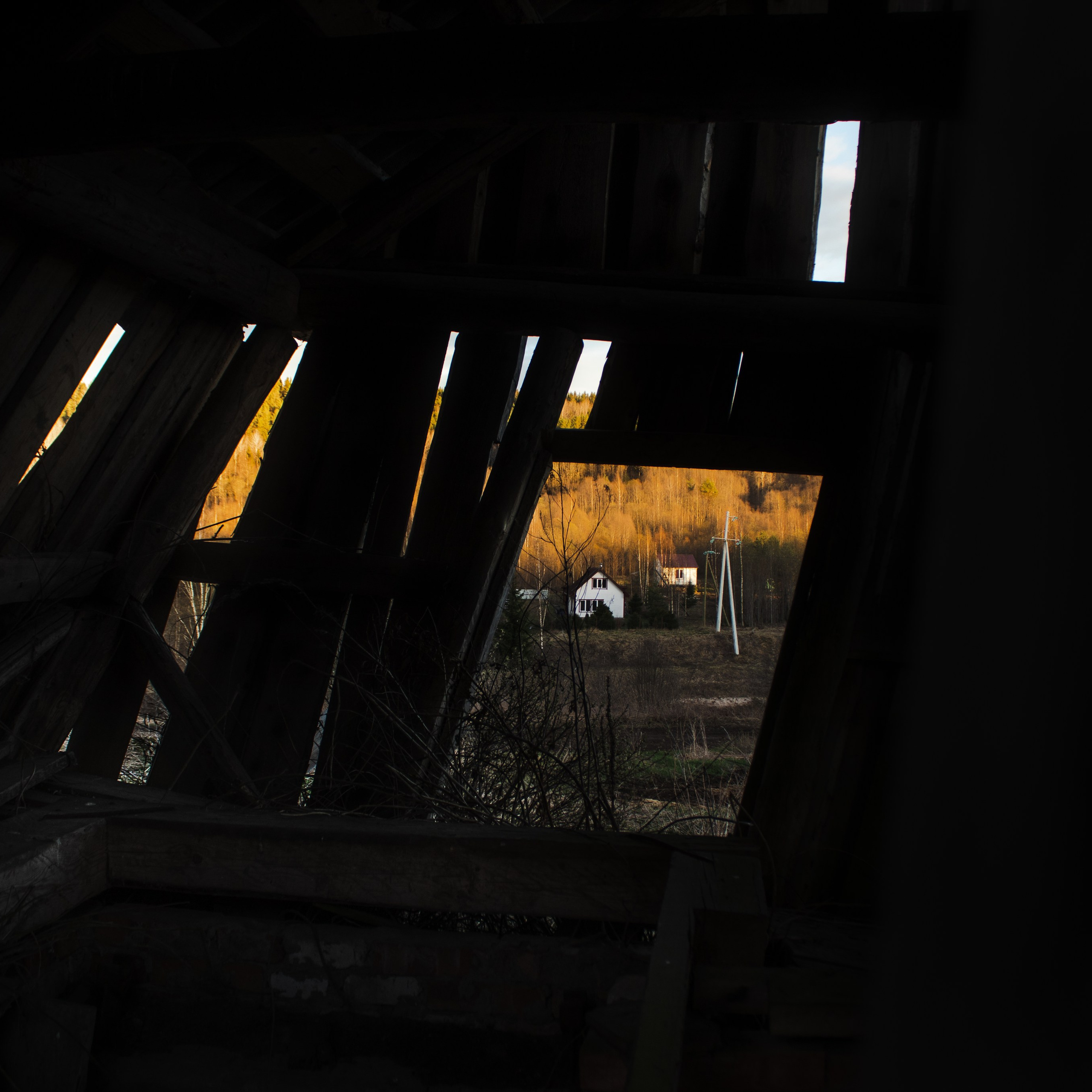 Вепсский ковчег